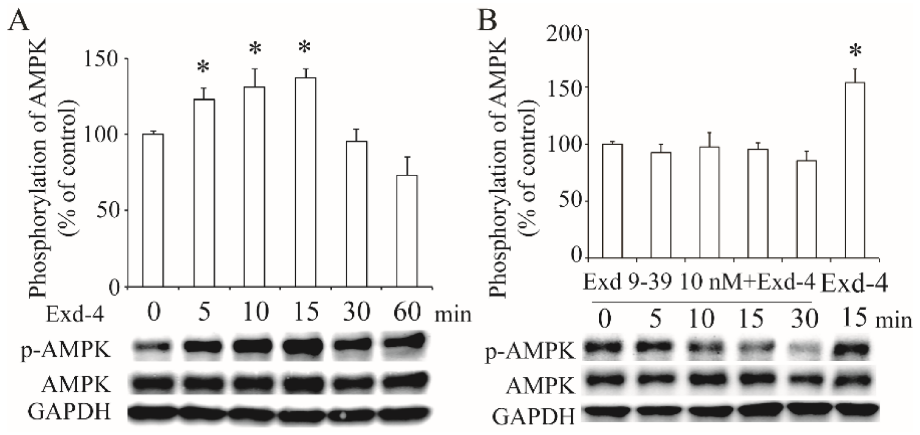 Cimb 44 00370 g004 Cimb 44 00370 g004
