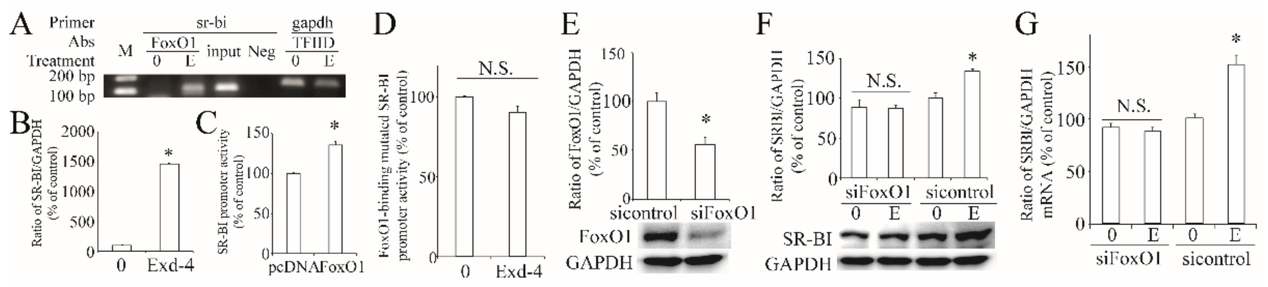 Cimb 44 00370 g005 Cimb 44 00370 g005