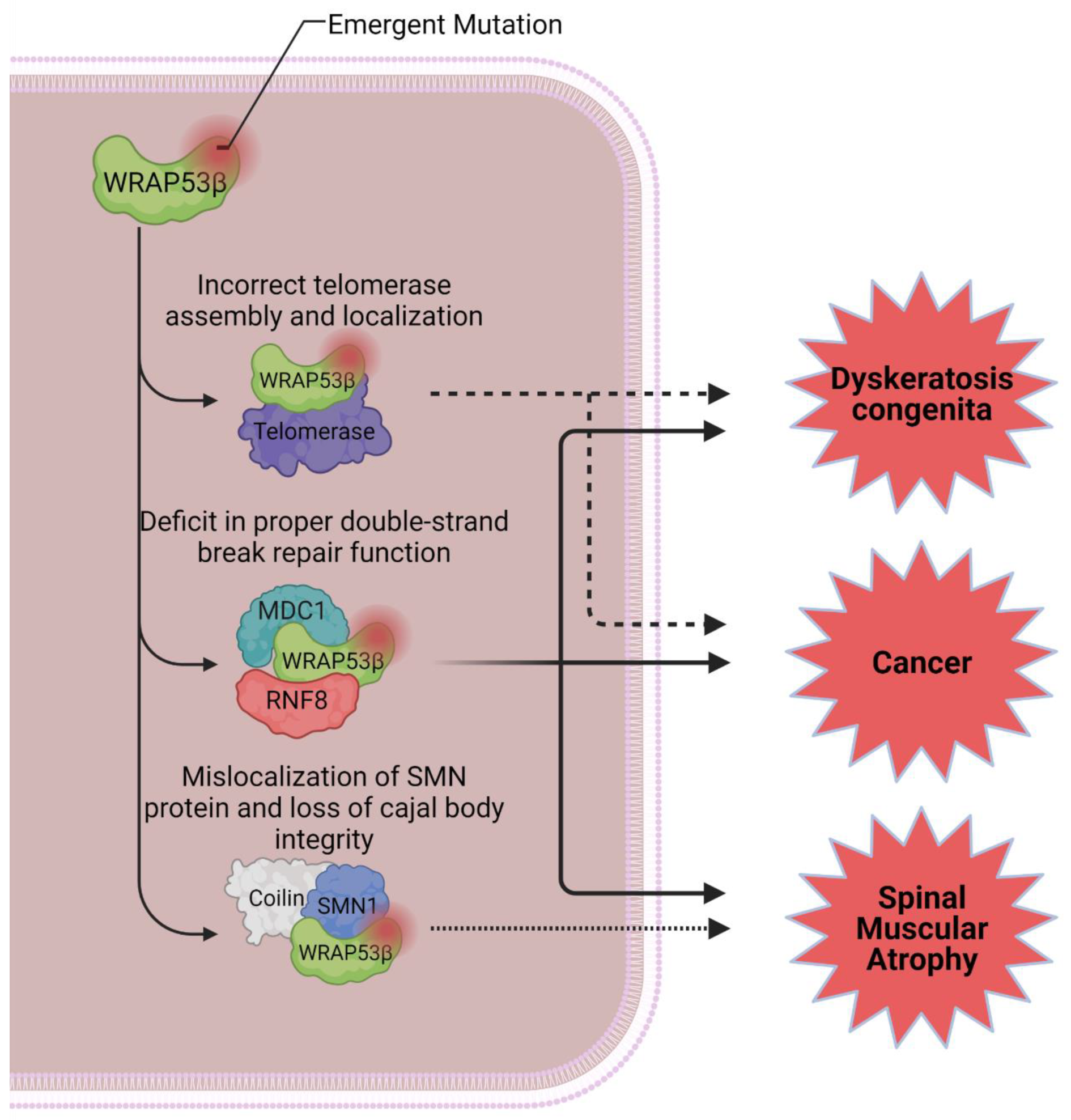 Cimb 44 00372 g002 Cimb 44 00372 g002