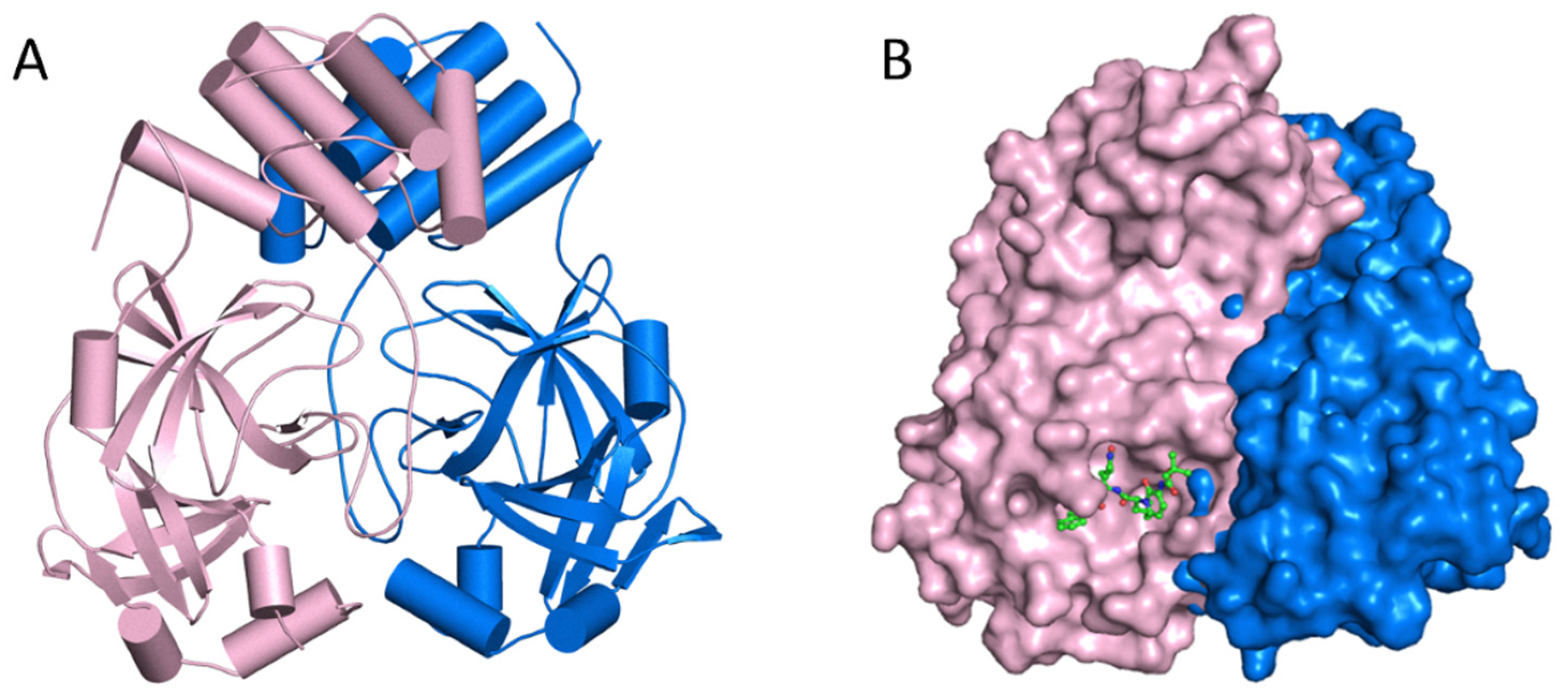 Cimb 44 00384 g004 Cimb 44 00384 g004