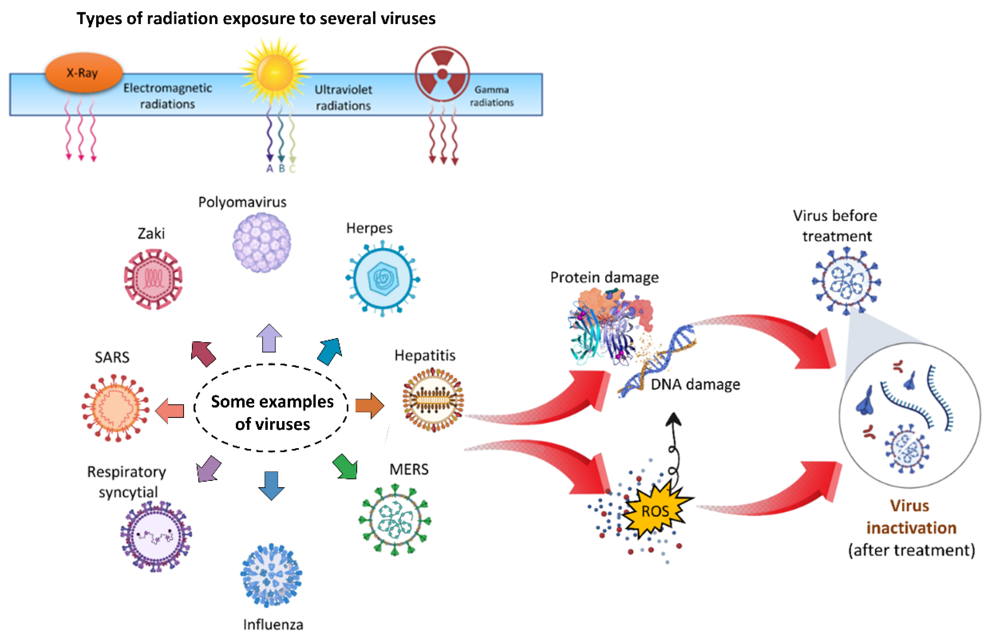 Cimb 44 00384 g006 Cimb 44 00384 g006
