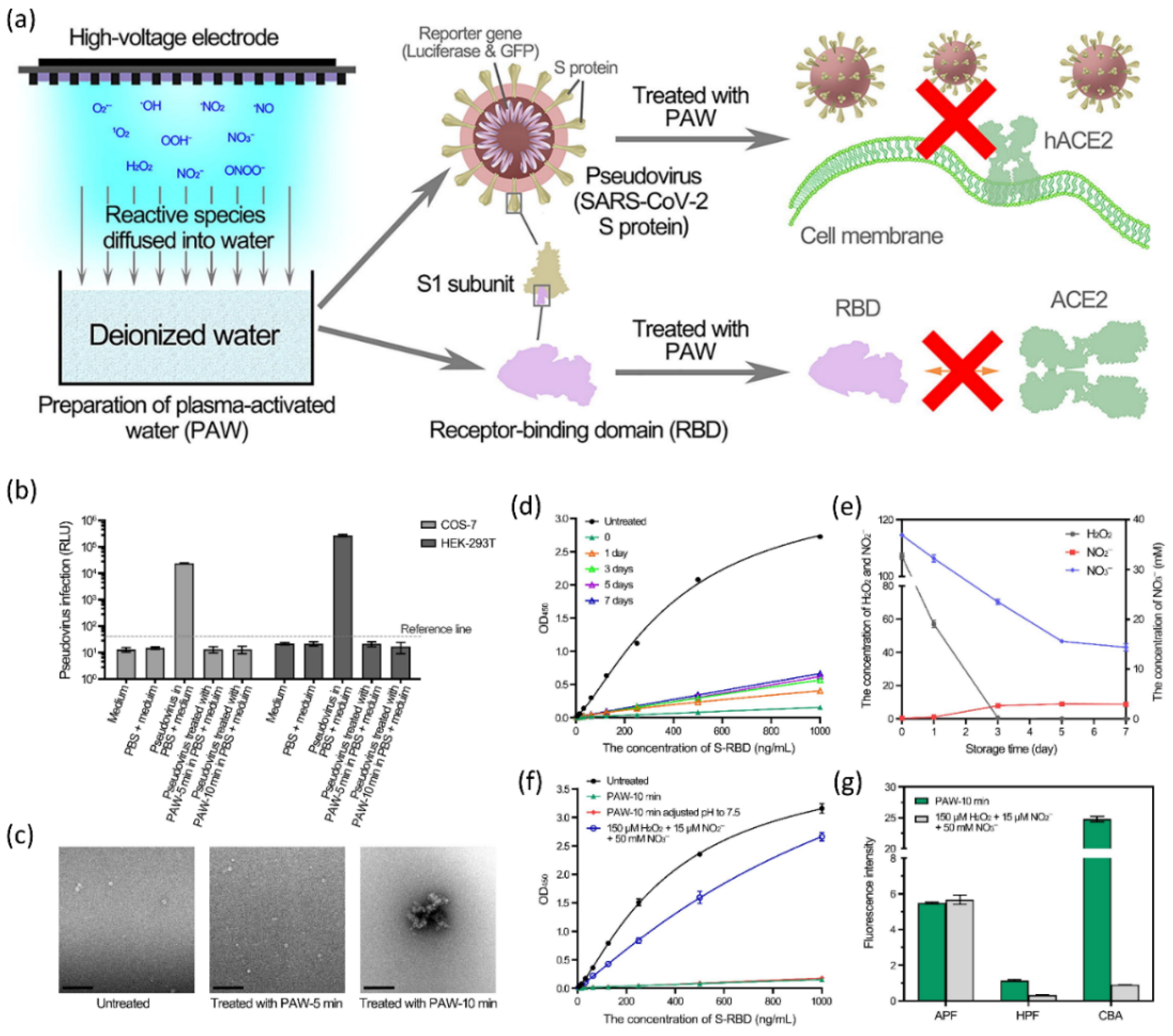 Cimb 44 00384 g009 Cimb 44 00384 g009