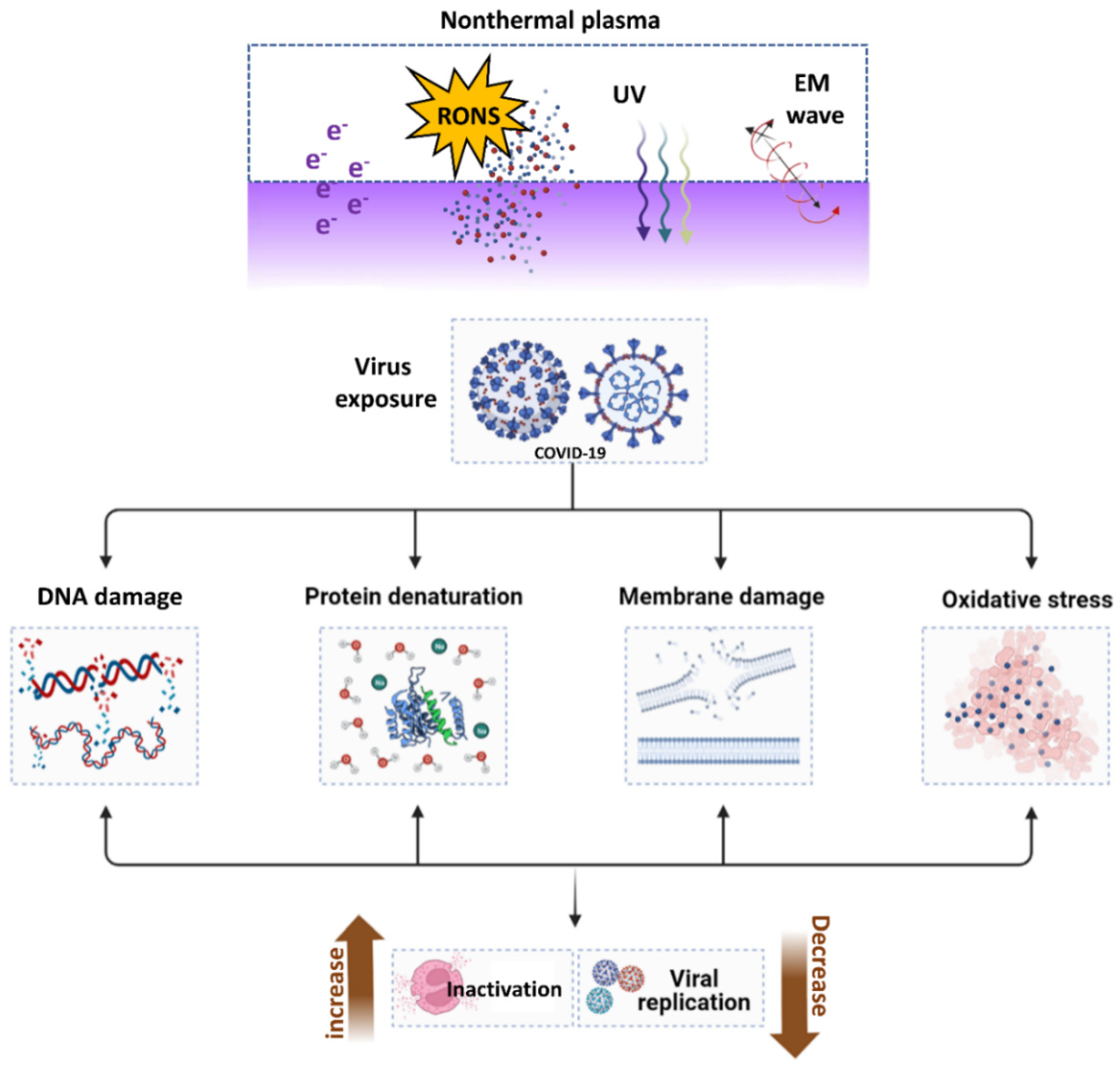 Cimb 44 00384 g010 Cimb 44 00384 g010