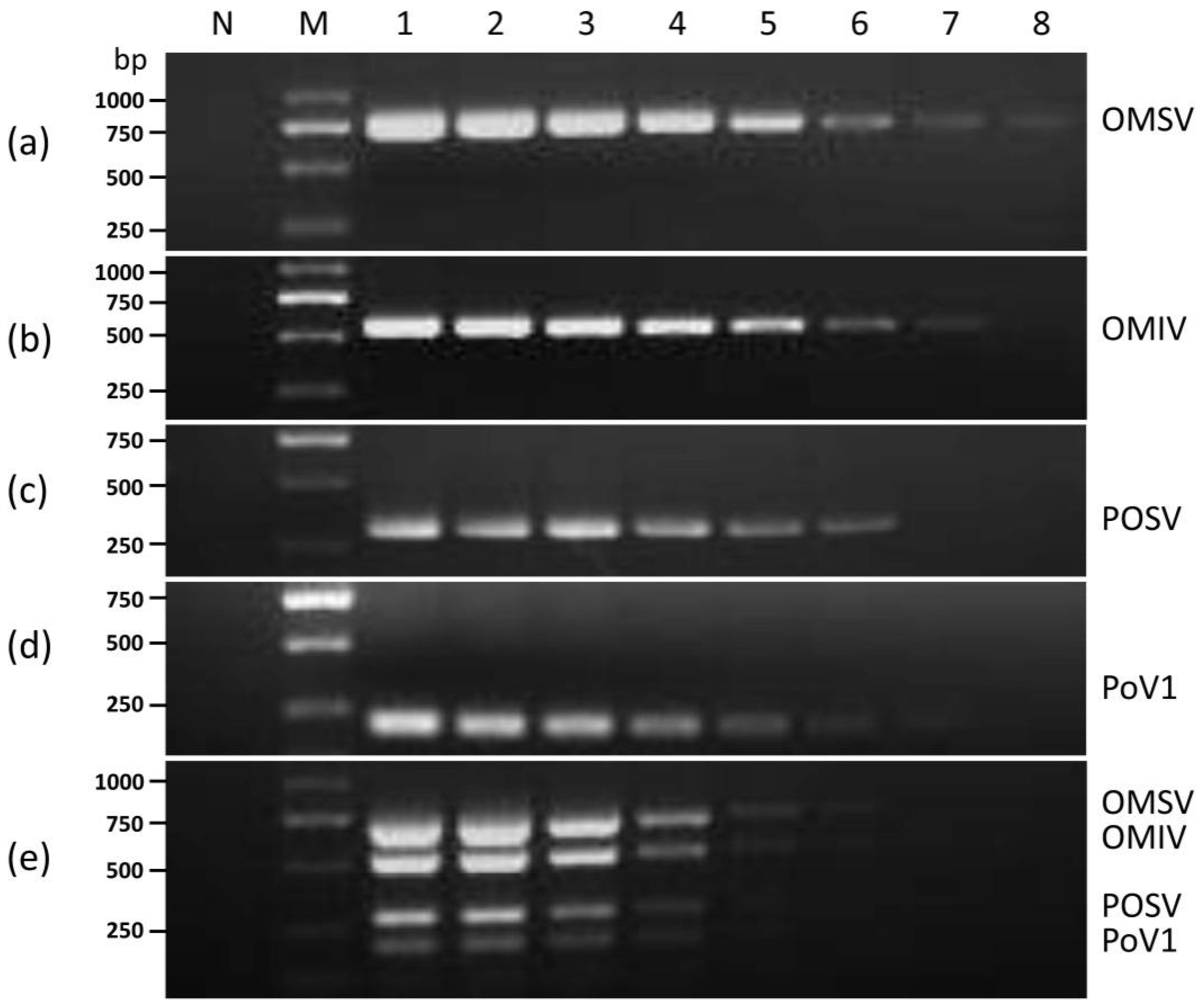 Cimb 44 00392 g001 Cimb 44 00392 g001