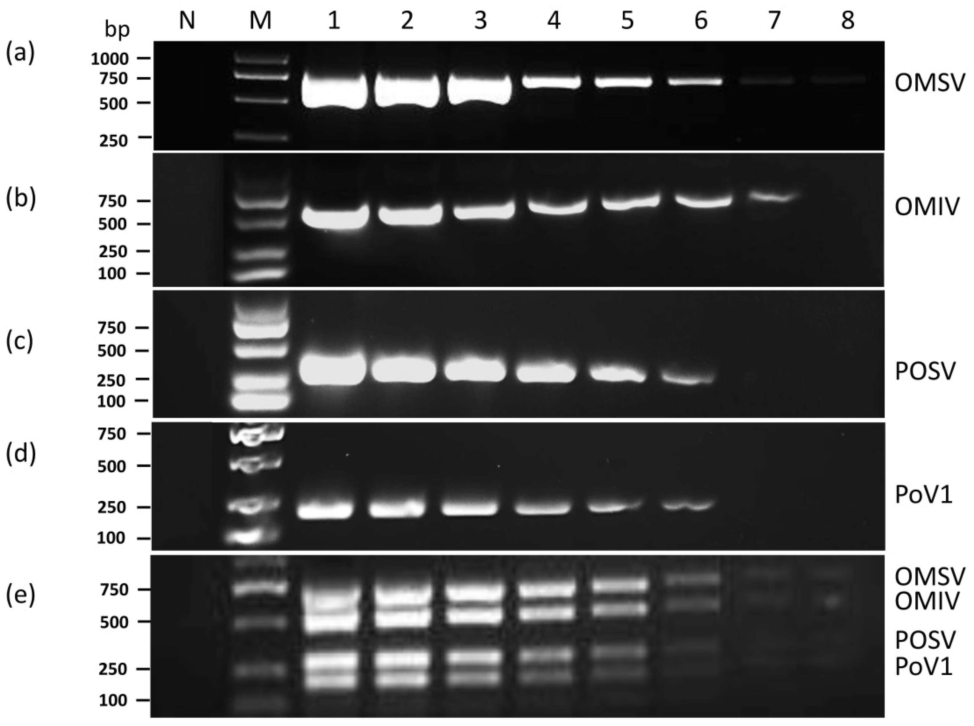Cimb 44 00392 g002 Cimb 44 00392 g002