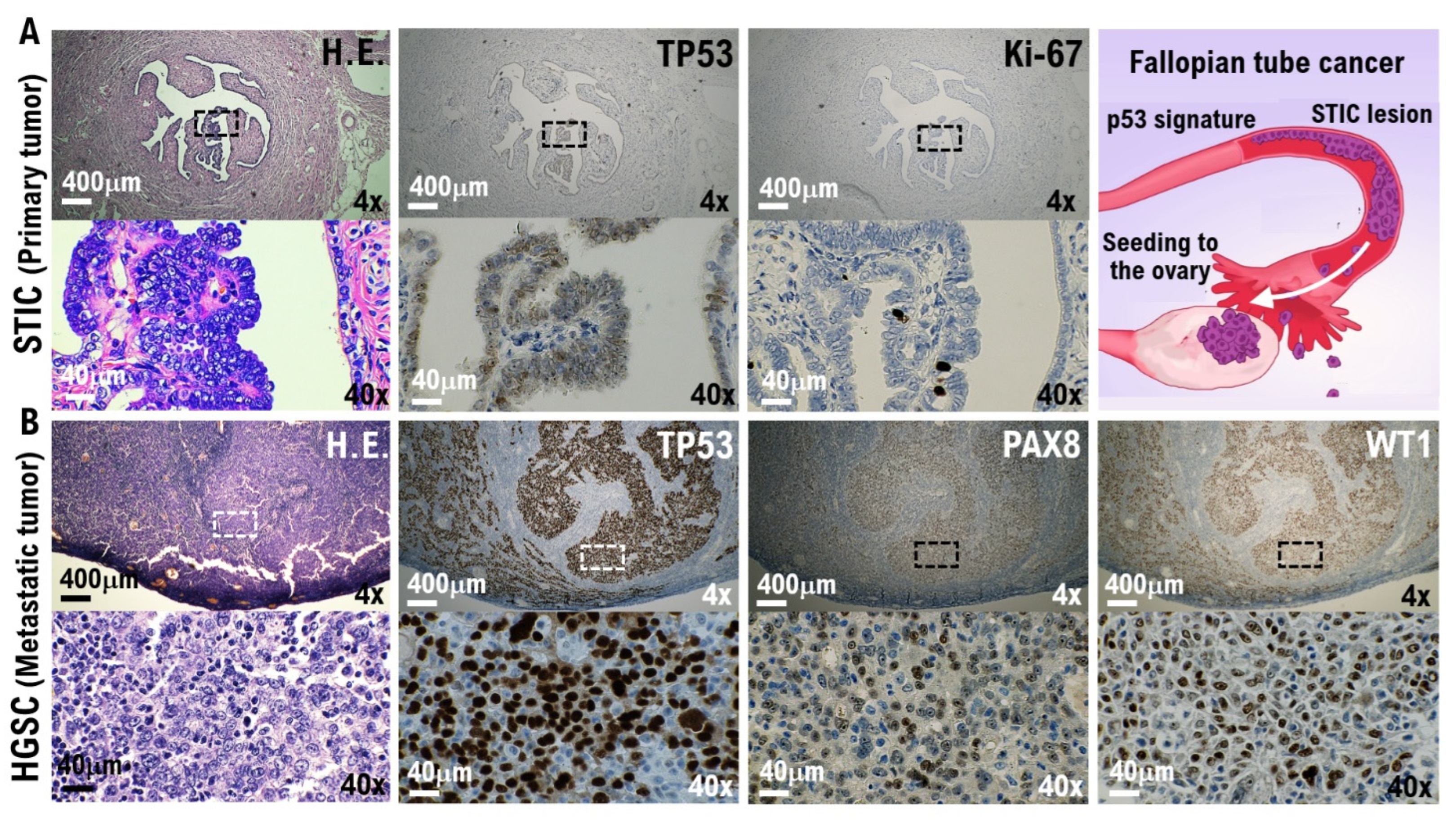 Cimb 44 00400 g001 Cimb 44 00400 g001