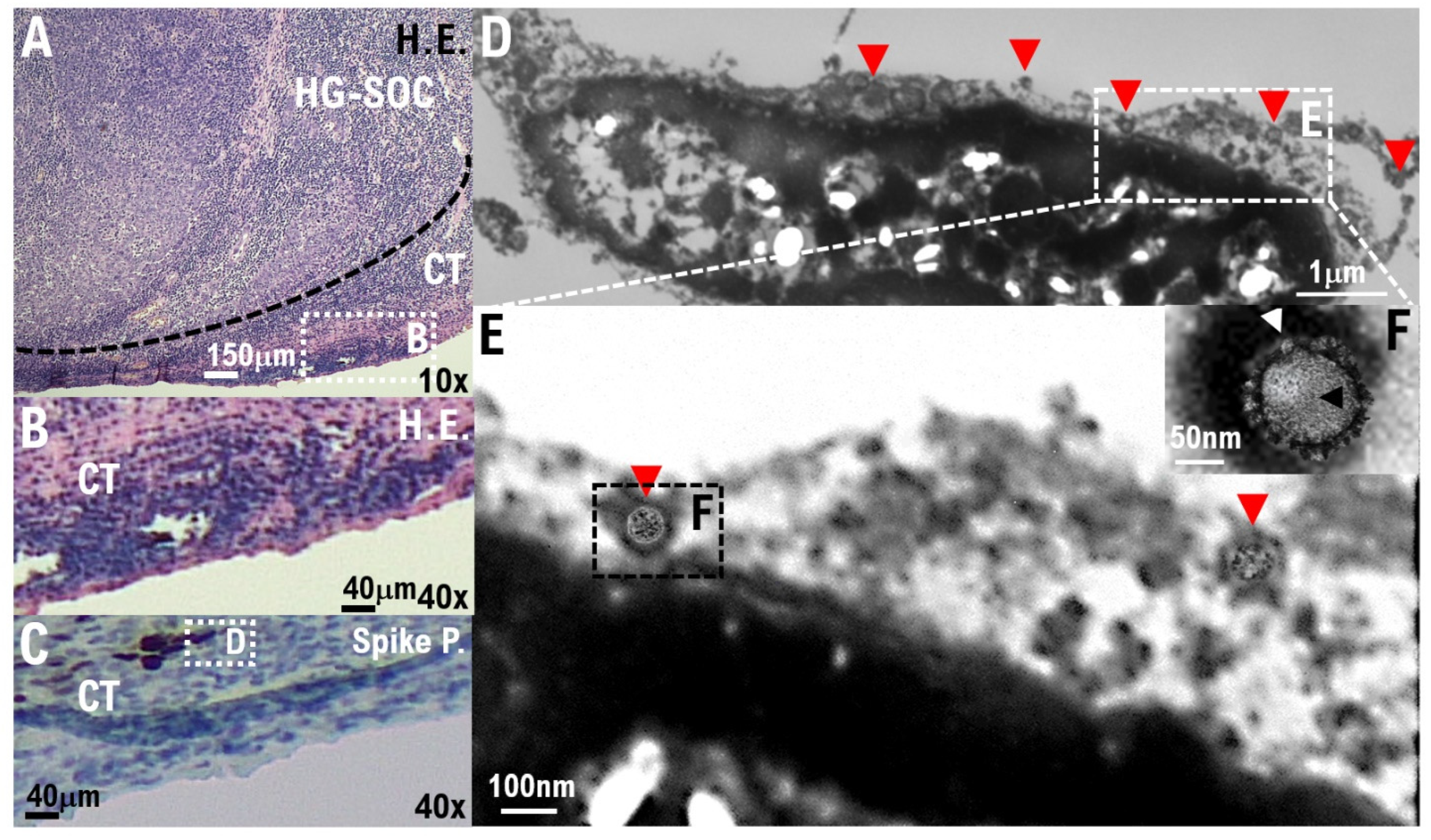 Cimb 44 00400 g003 Cimb 44 00400 g003