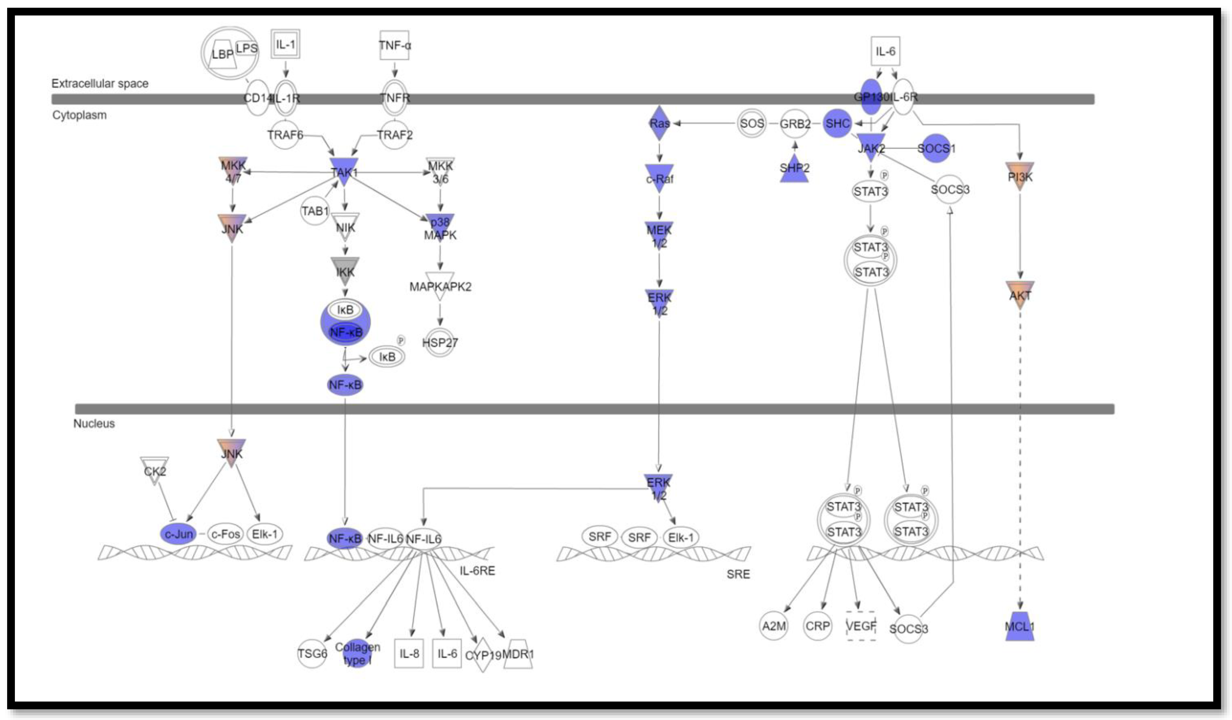 Cimb 44 00401 g002 Cimb 44 00401 g002