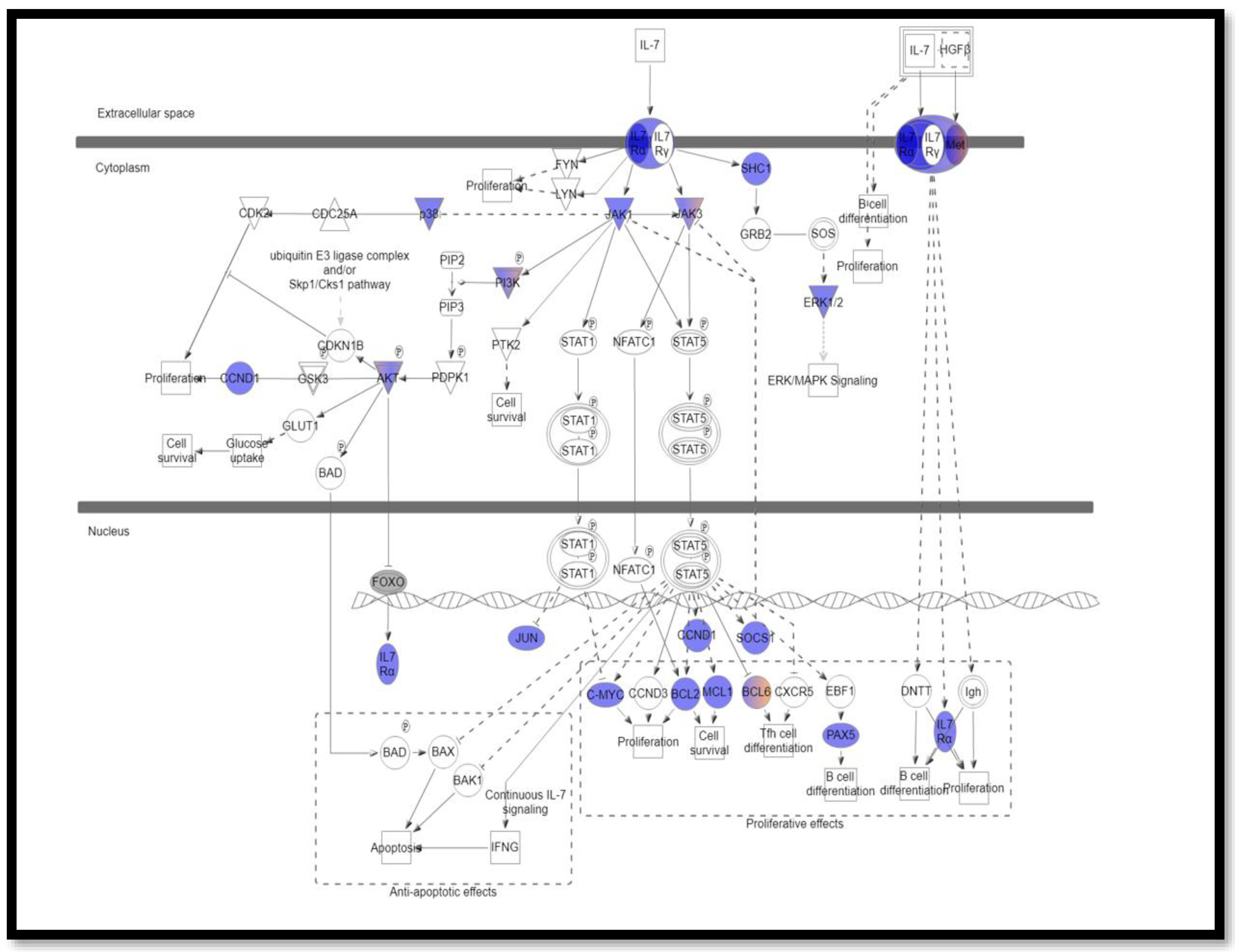 Cimb 44 00401 g003 Cimb 44 00401 g003