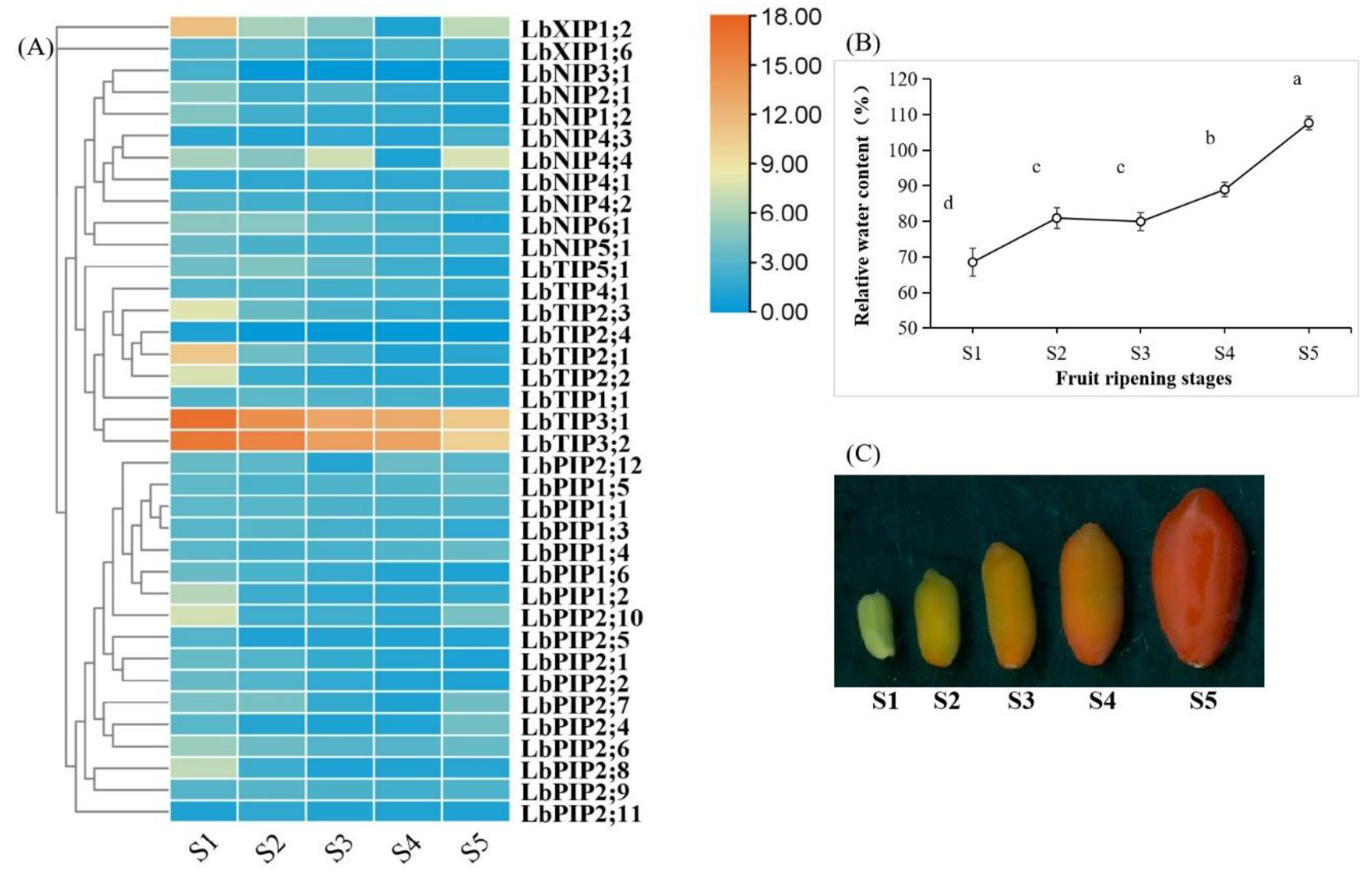 Cimb 44 00404 g007 Cimb 44 00404 g007