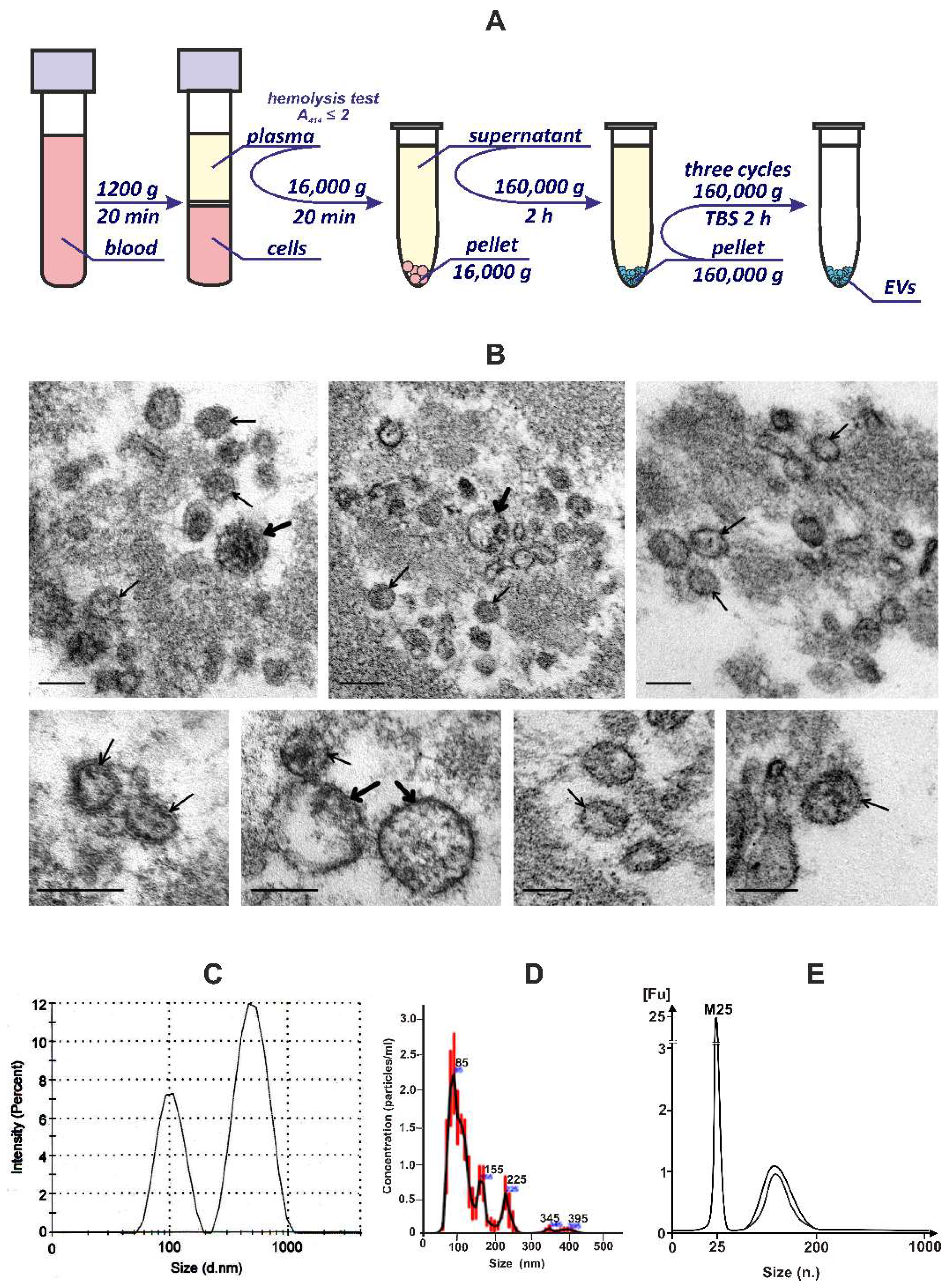 Cimb 44 00411 g001 Cimb 44 00411 g001