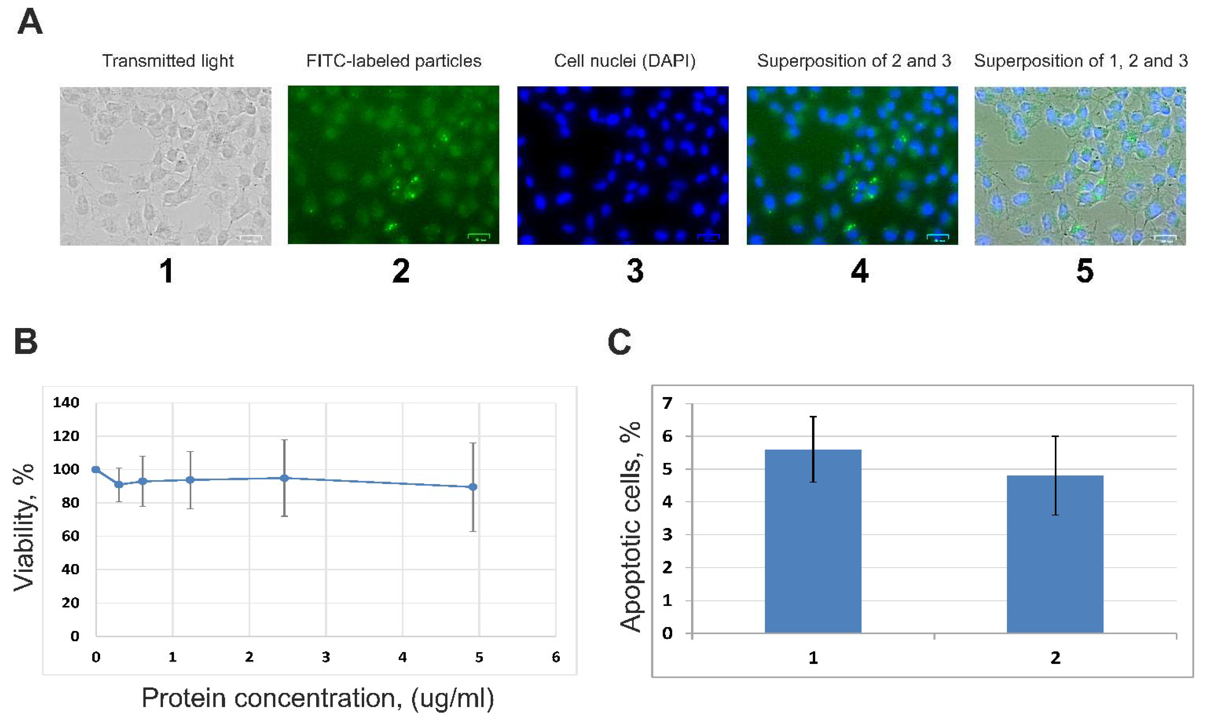 Cimb 44 00411 g002 Cimb 44 00411 g002