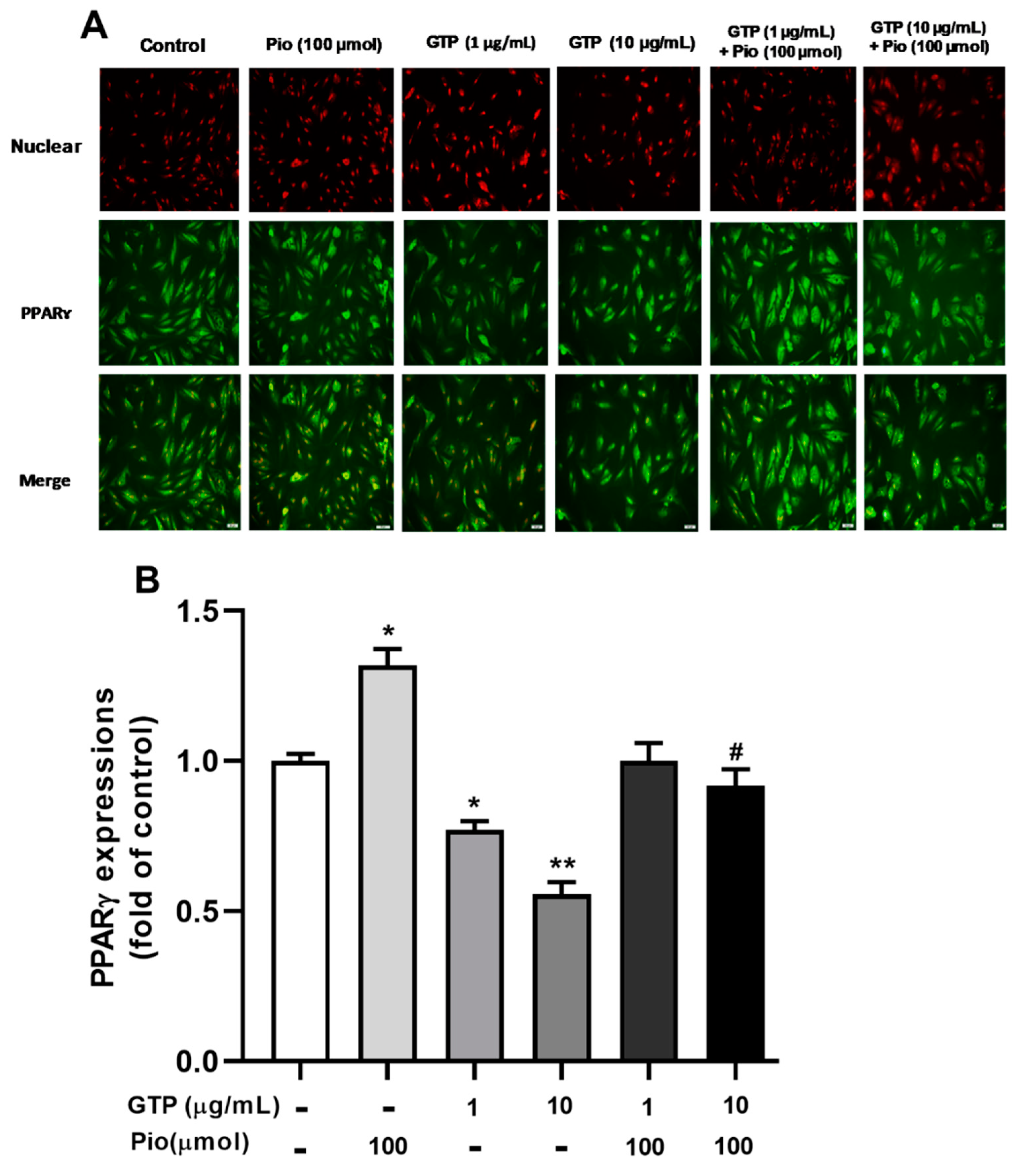 Cimb 44 00412 g002 Cimb 44 00412 g002