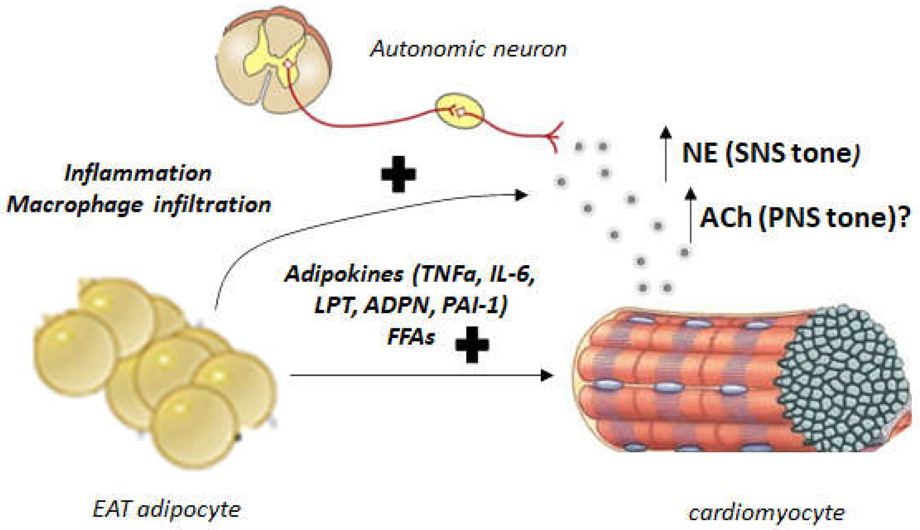 Cimb 44 00415 g002 Cimb 44 00415 g002