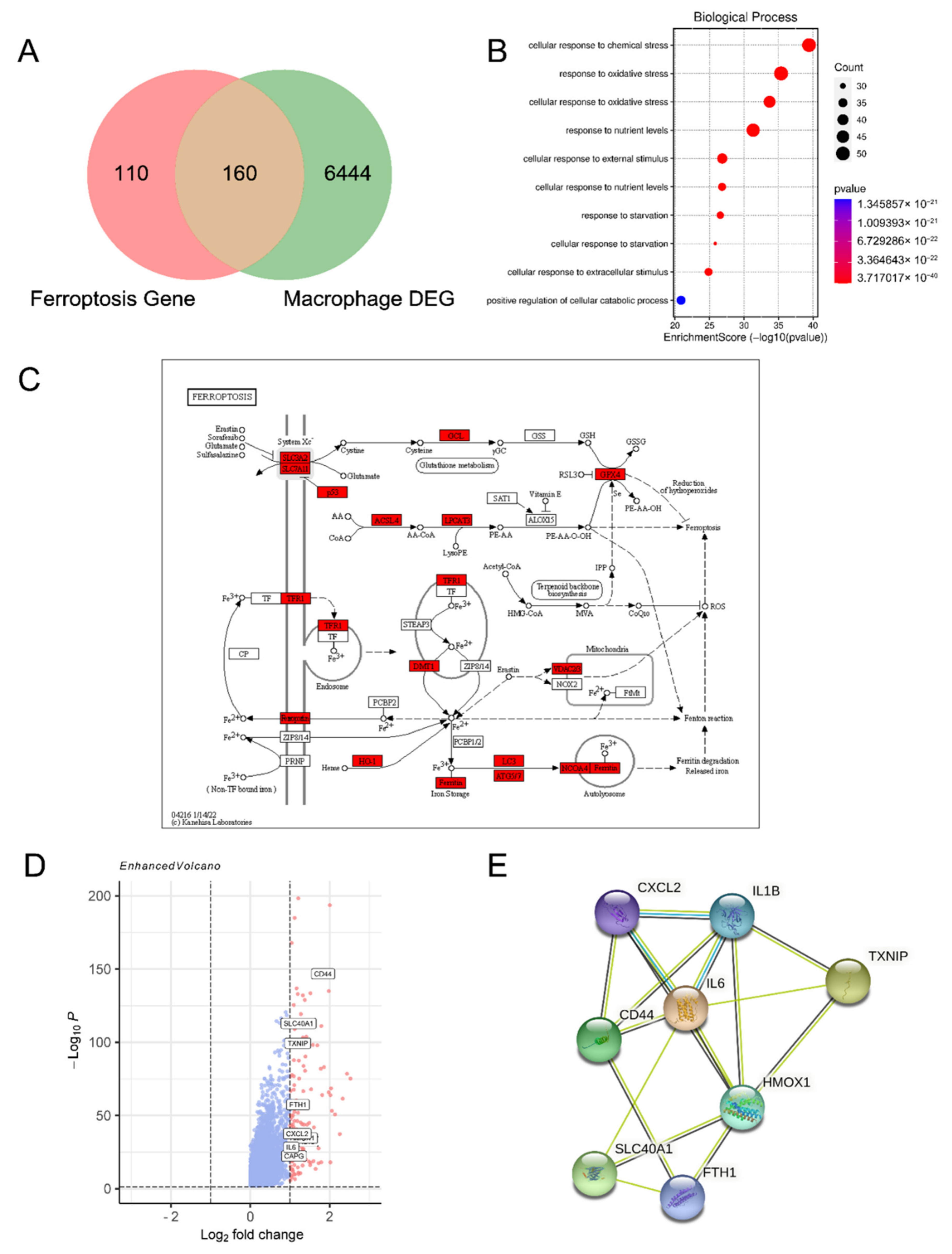 Cimb 44 00422 g001 Cimb 44 00422 g001