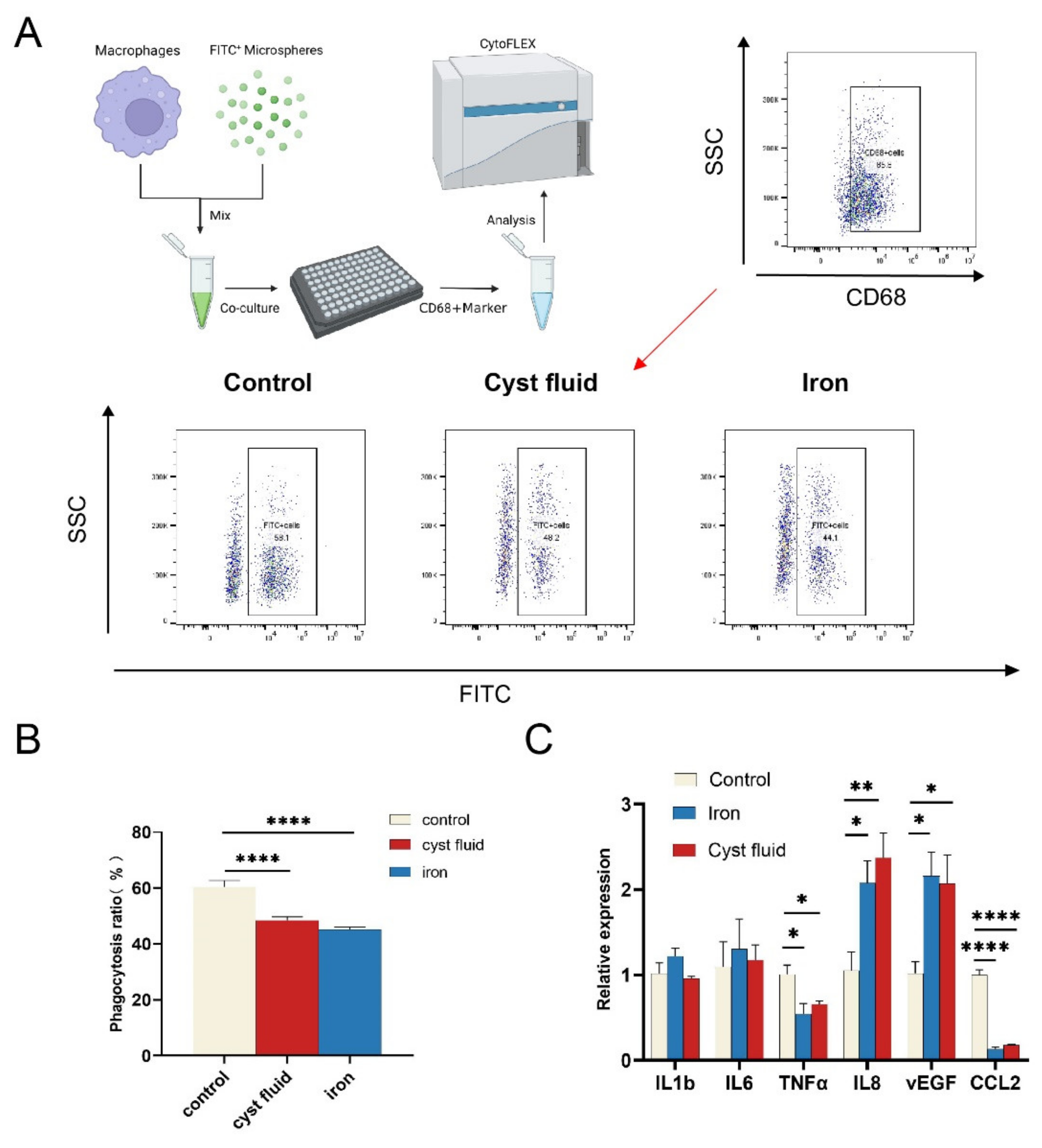 Cimb 44 00422 g004 Cimb 44 00422 g004