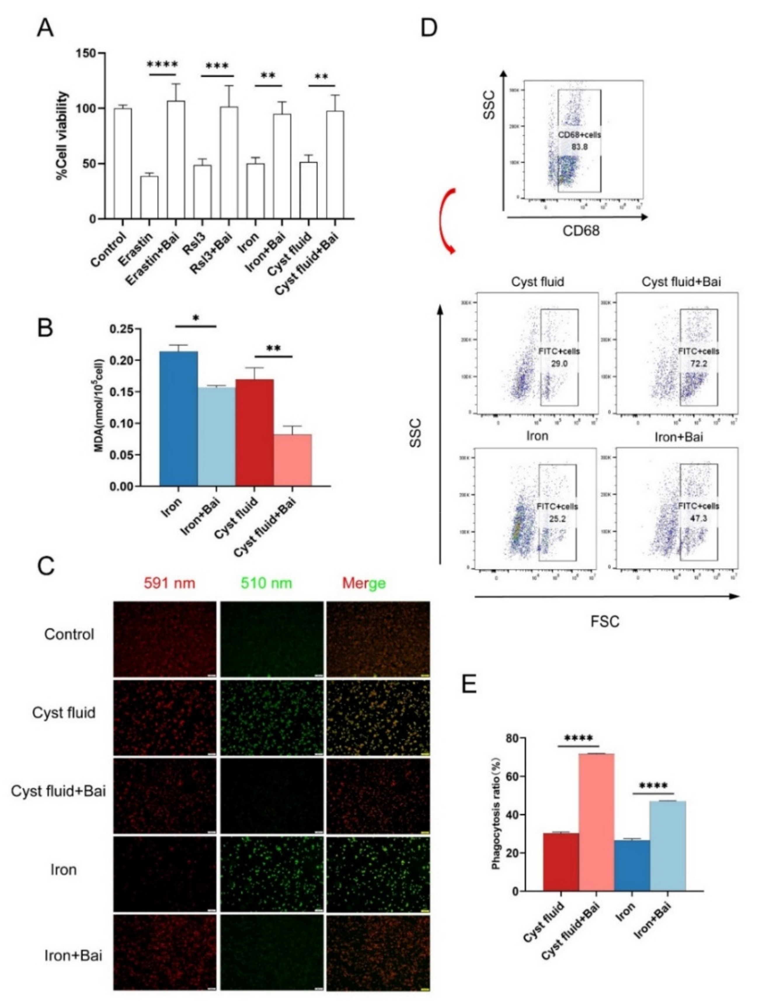 Cimb 44 00422 g005 Cimb 44 00422 g005