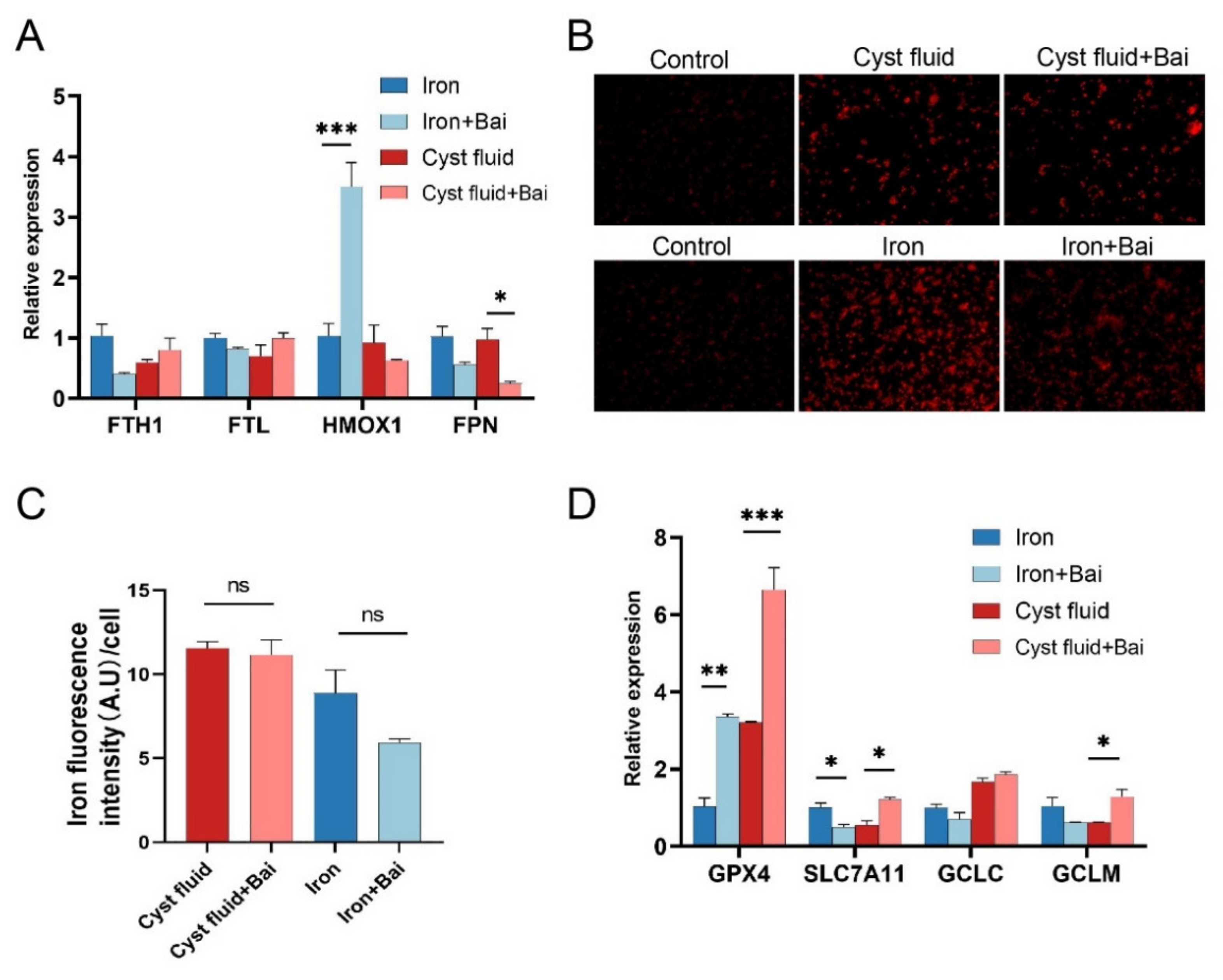 Cimb 44 00422 g006 Cimb 44 00422 g006