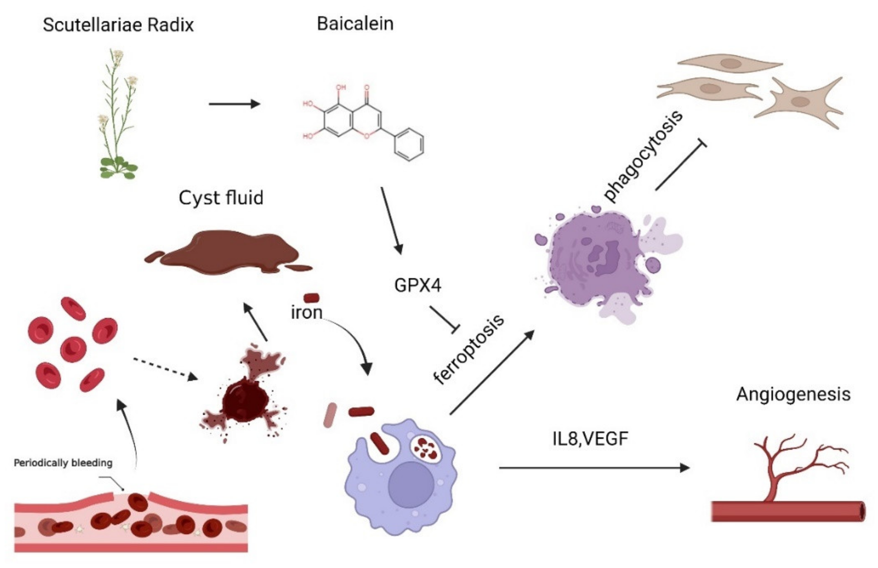 Cimb 44 00422 g007 Cimb 44 00422 g007