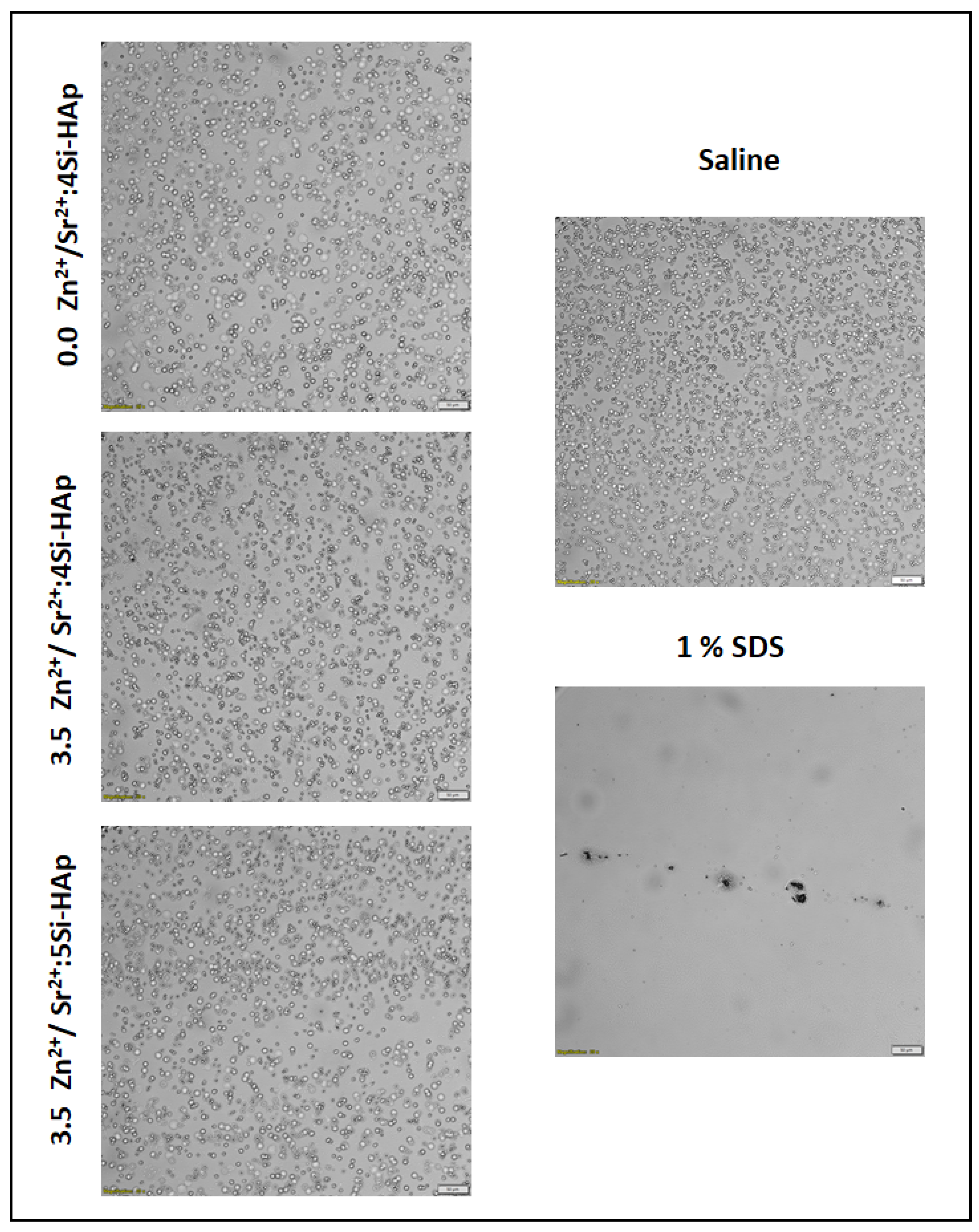 Cimb 44 00425 g009 Cimb 44 00425 g009