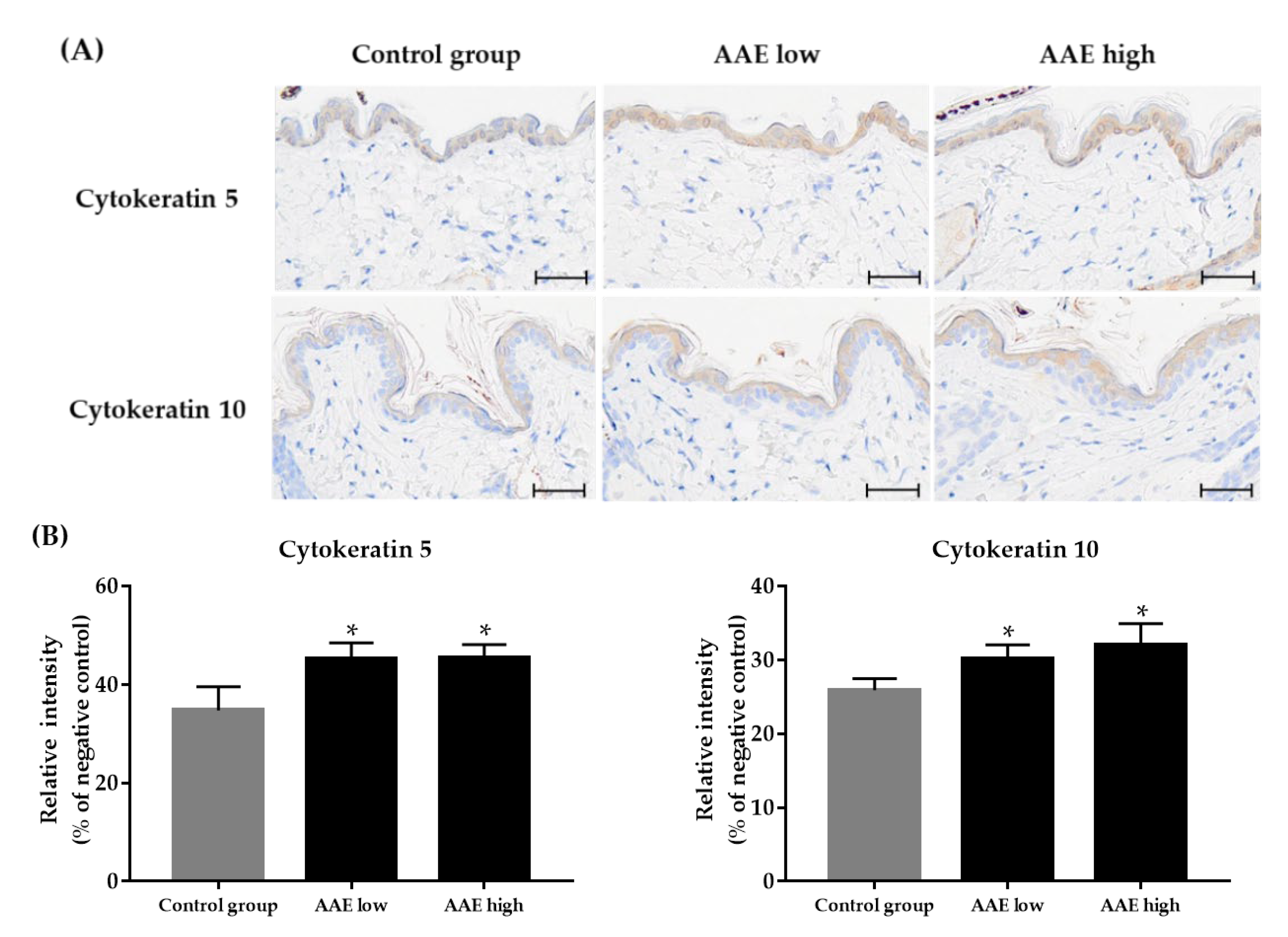 Cimb 44 00428 g004 Cimb 44 00428 g004