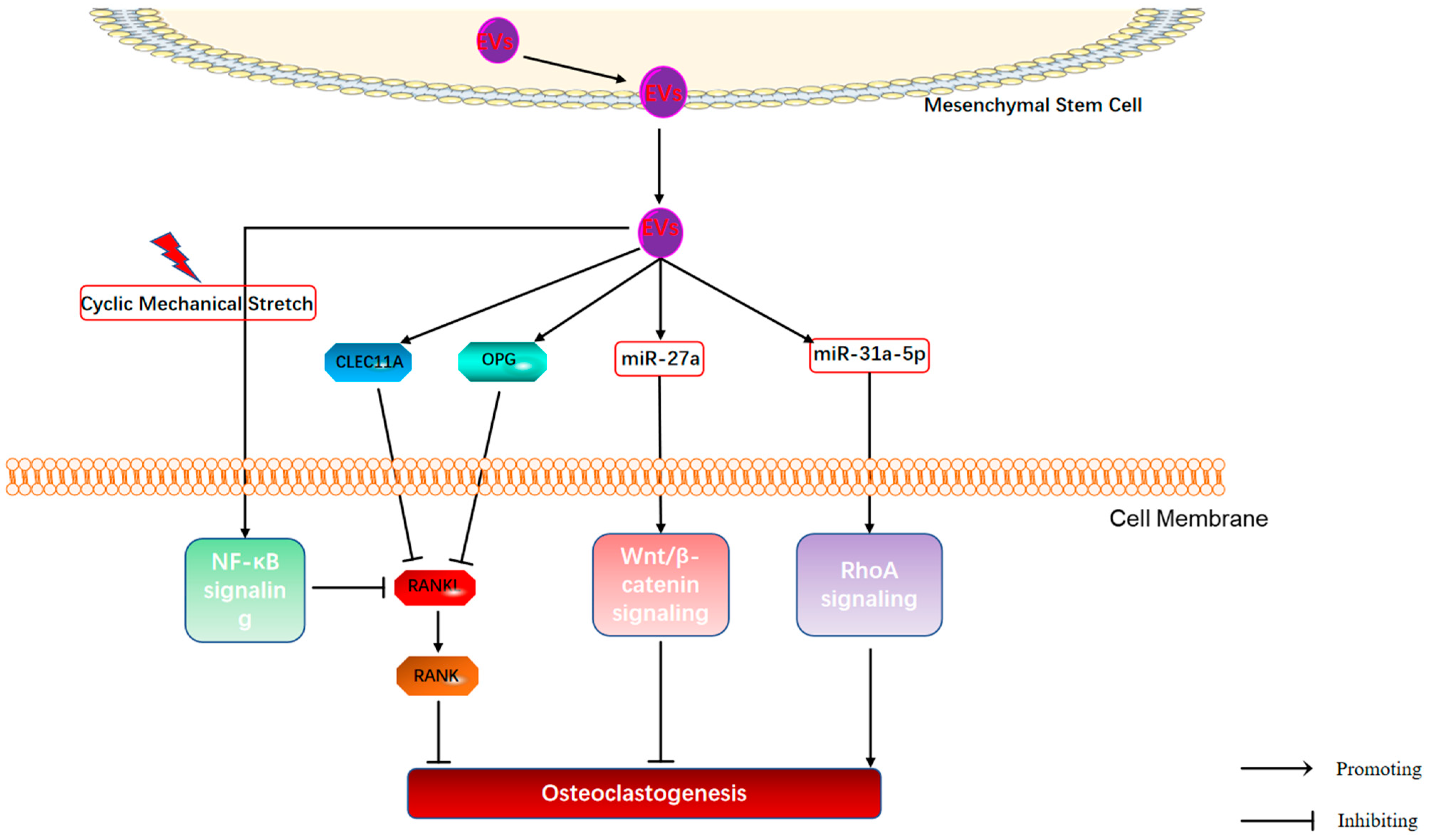 Cimb 44 00433 g003 Cimb 44 00433 g003