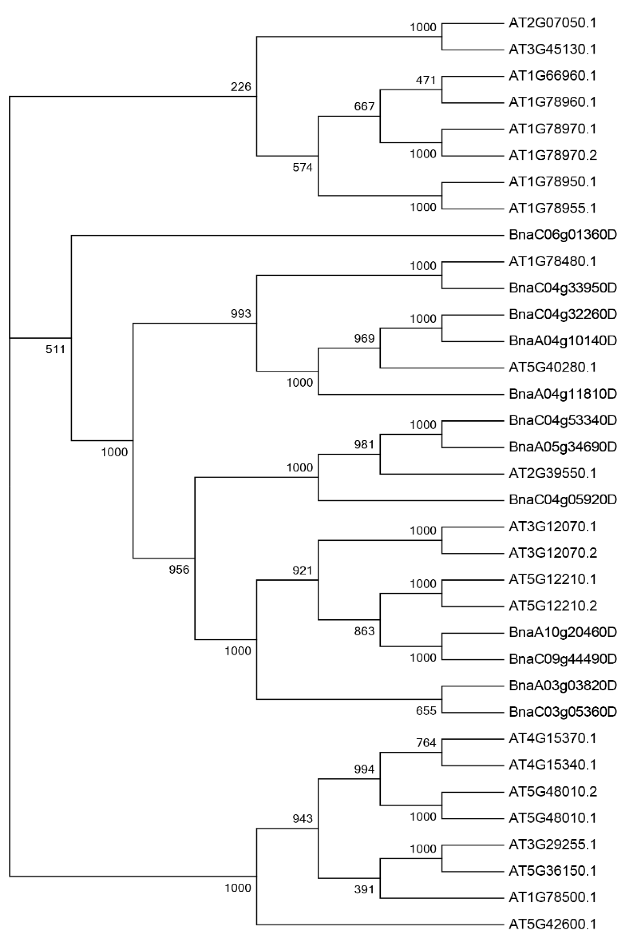 Cimb 44 00435 g001 Cimb 44 00435 g001