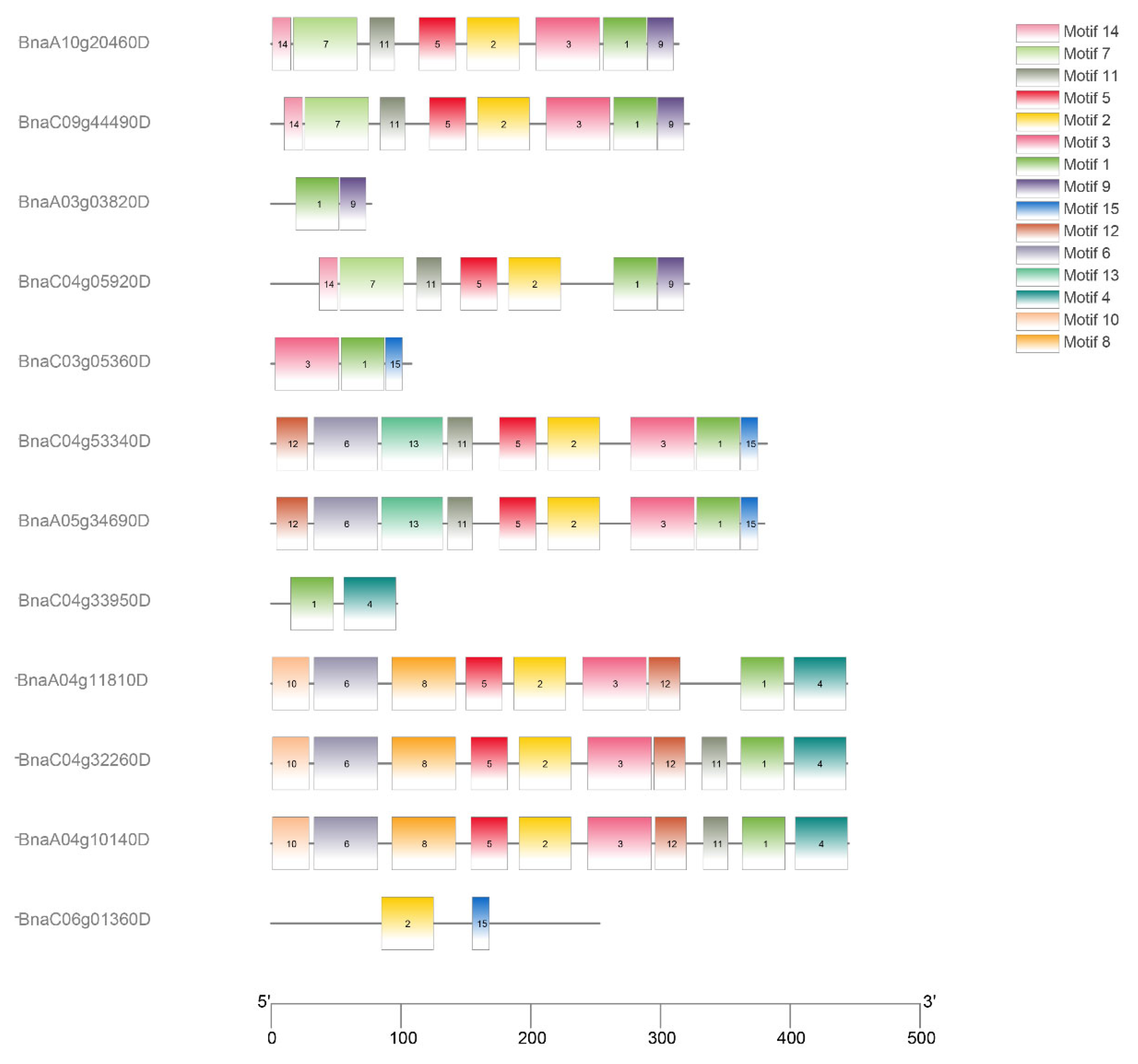 Cimb 44 00435 g002 Cimb 44 00435 g002
