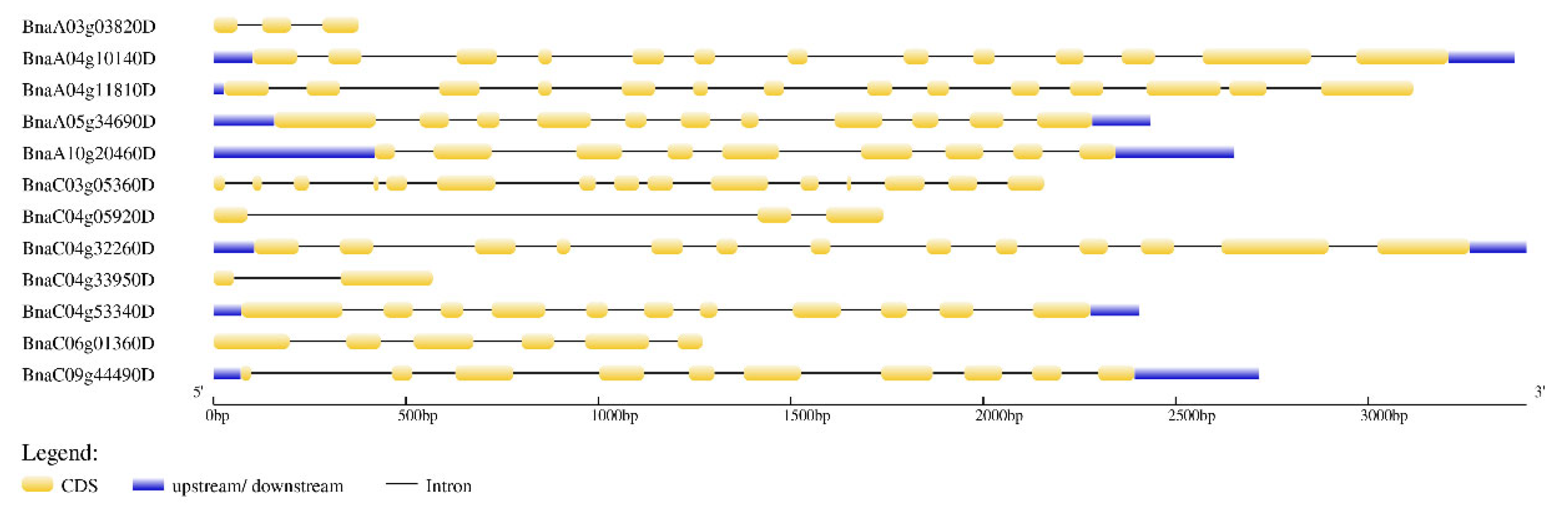 Cimb 44 00435 g004 Cimb 44 00435 g004