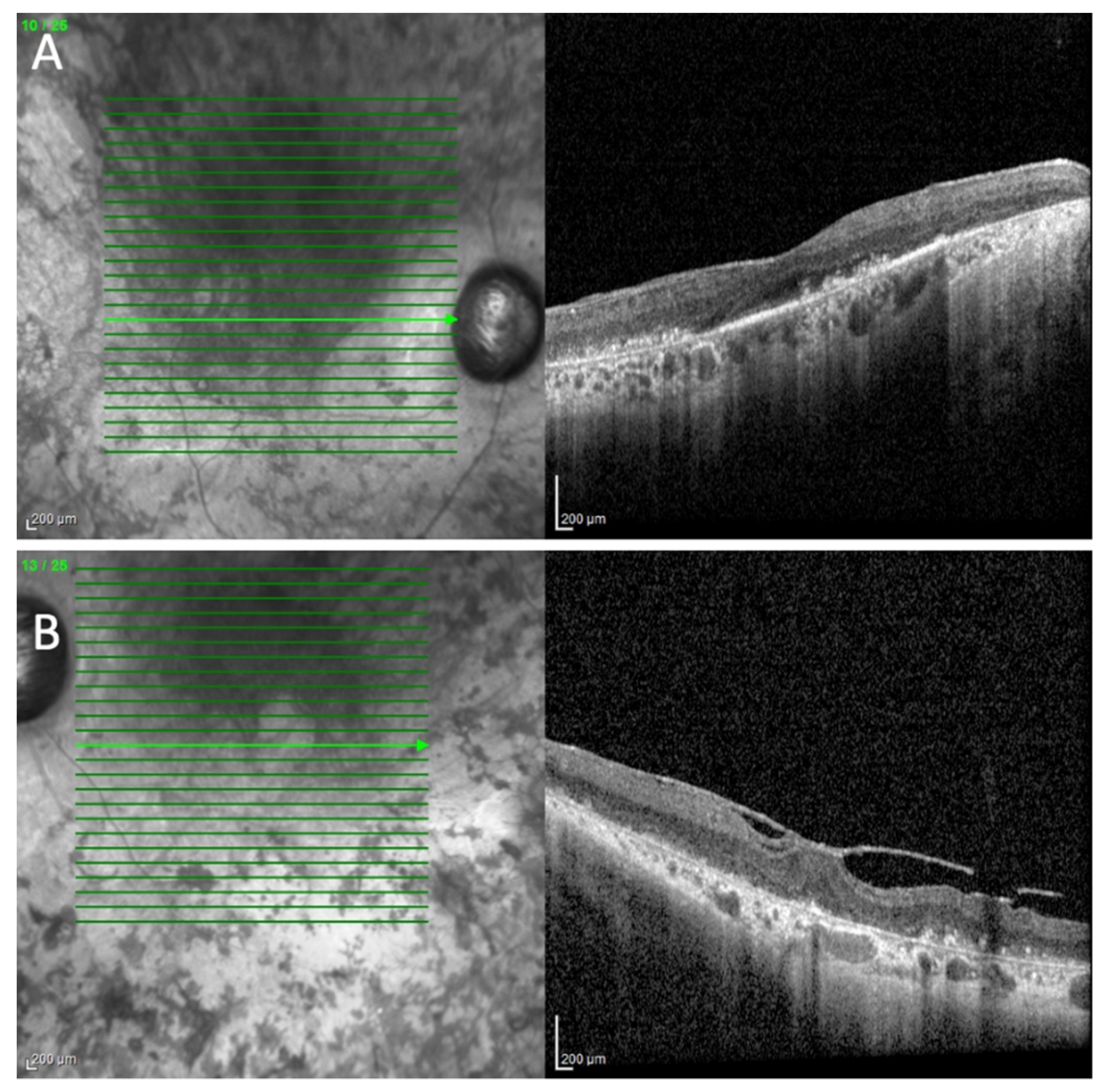 Cimb 44 00436 g001 Cimb 44 00436 g001