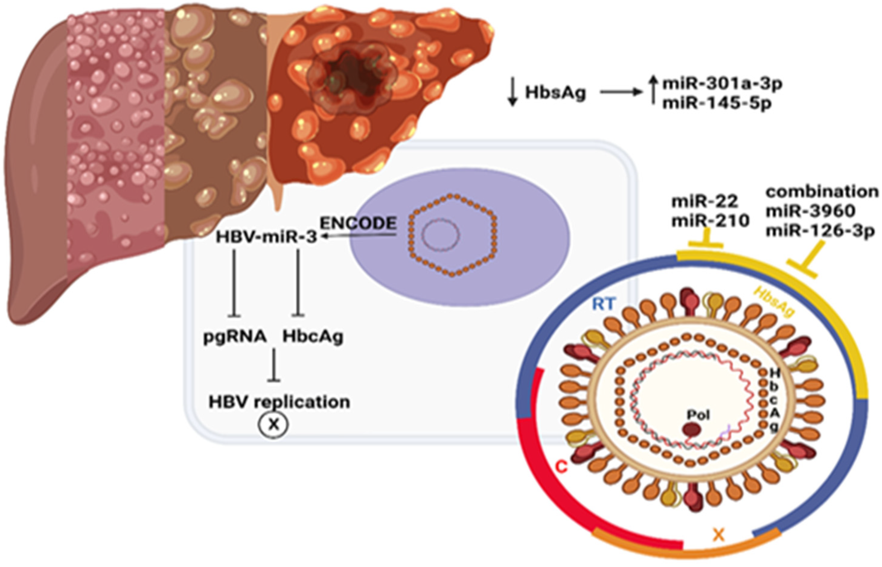 Cimb 45 00006 g003 Cimb 45 00006 g003