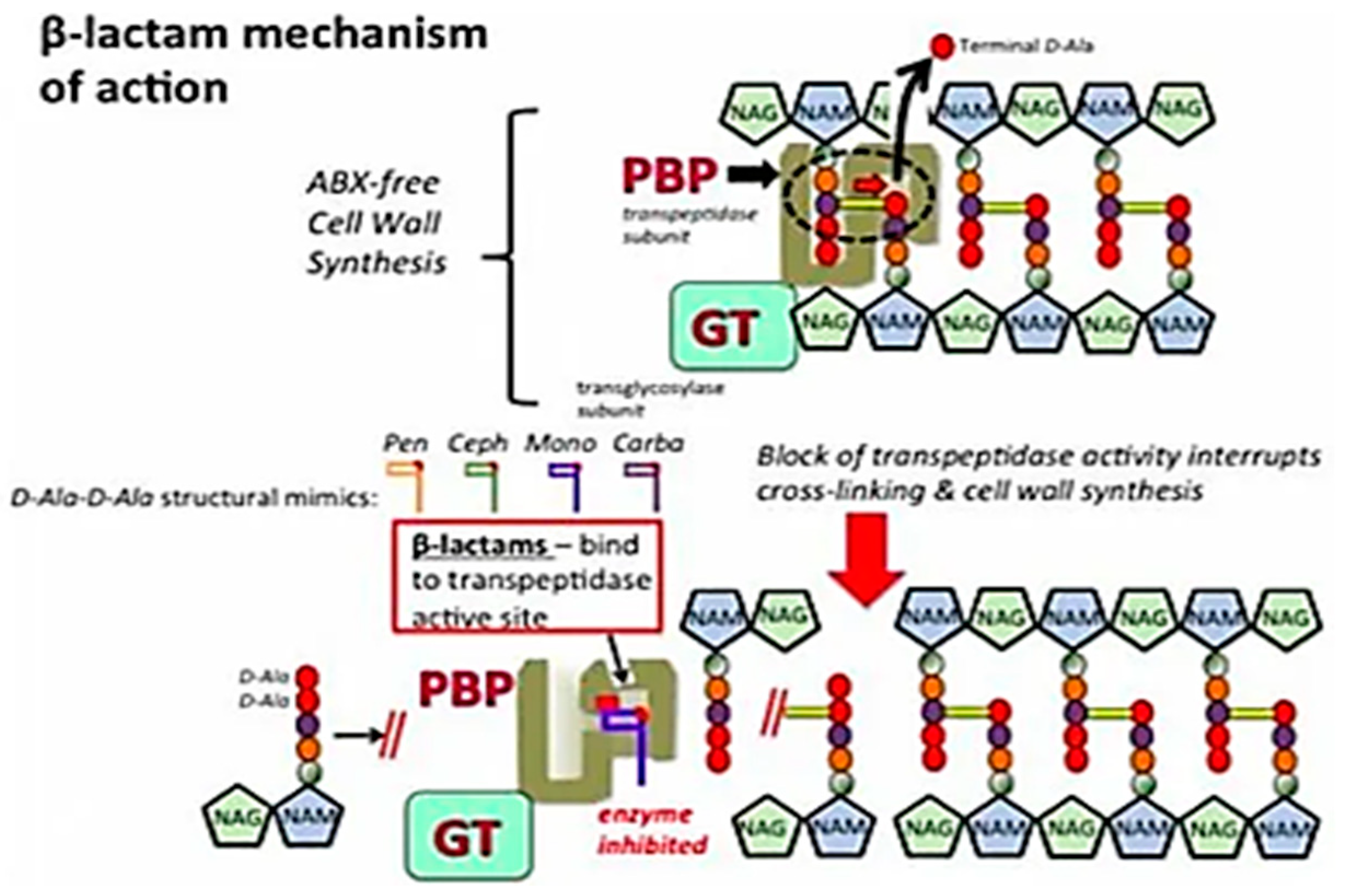 Cimb 45 00007 g004 Cimb 45 00007 g004