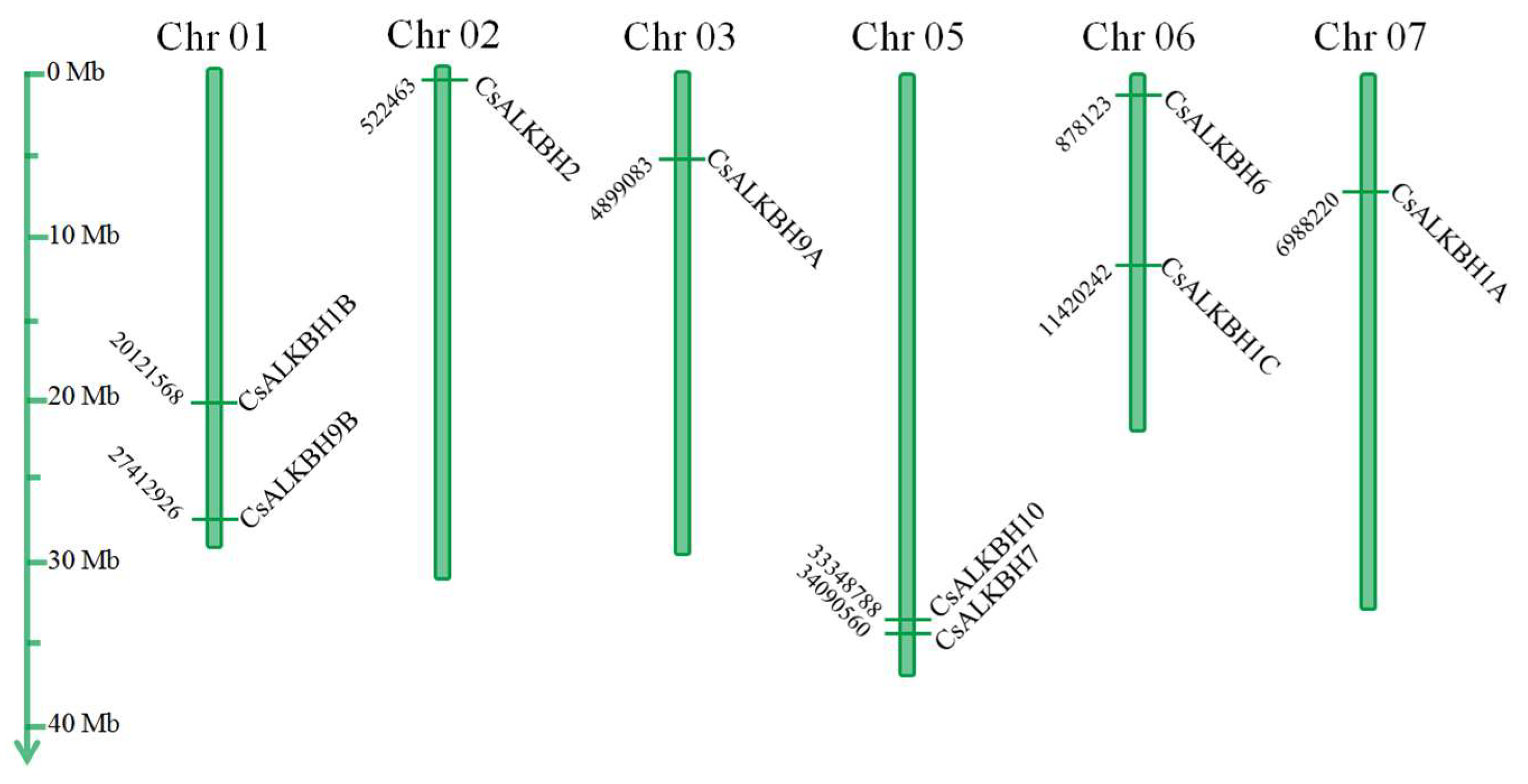Cimb 45 00009 g003 Cimb 45 00009 g003