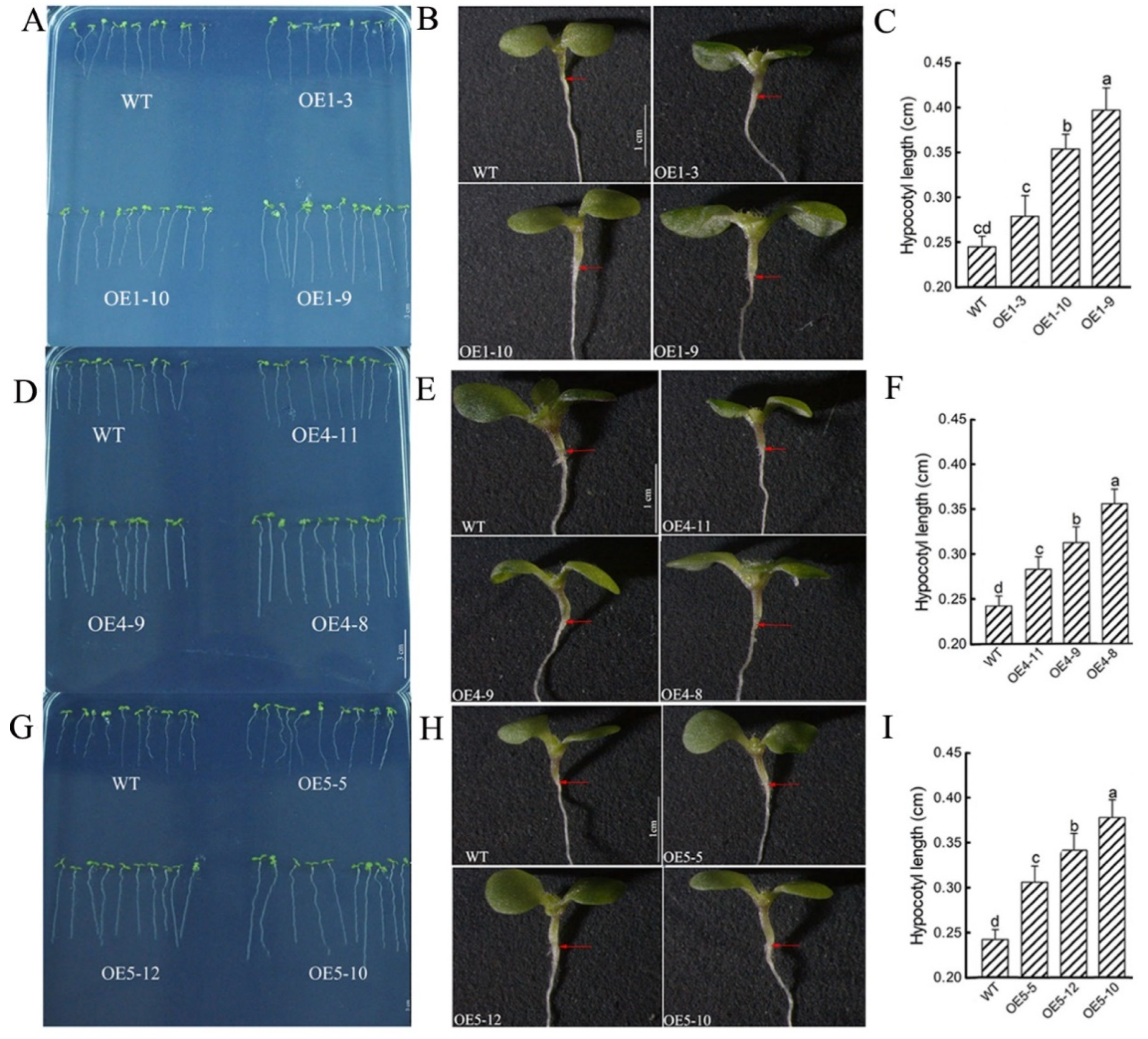 Cimb 45 00015 g007 Cimb 45 00015 g007