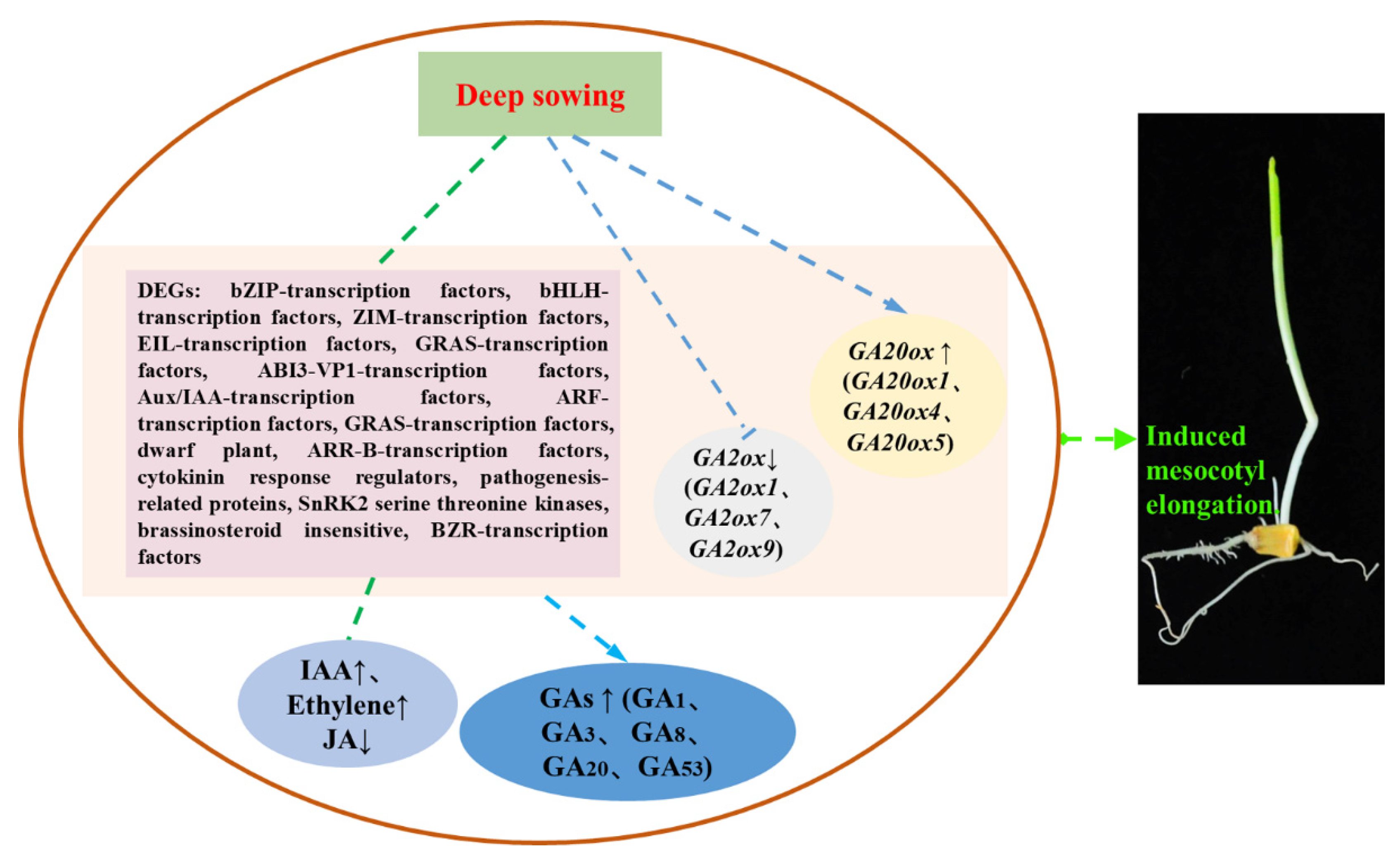 Cimb 45 00015 g008 Cimb 45 00015 g008