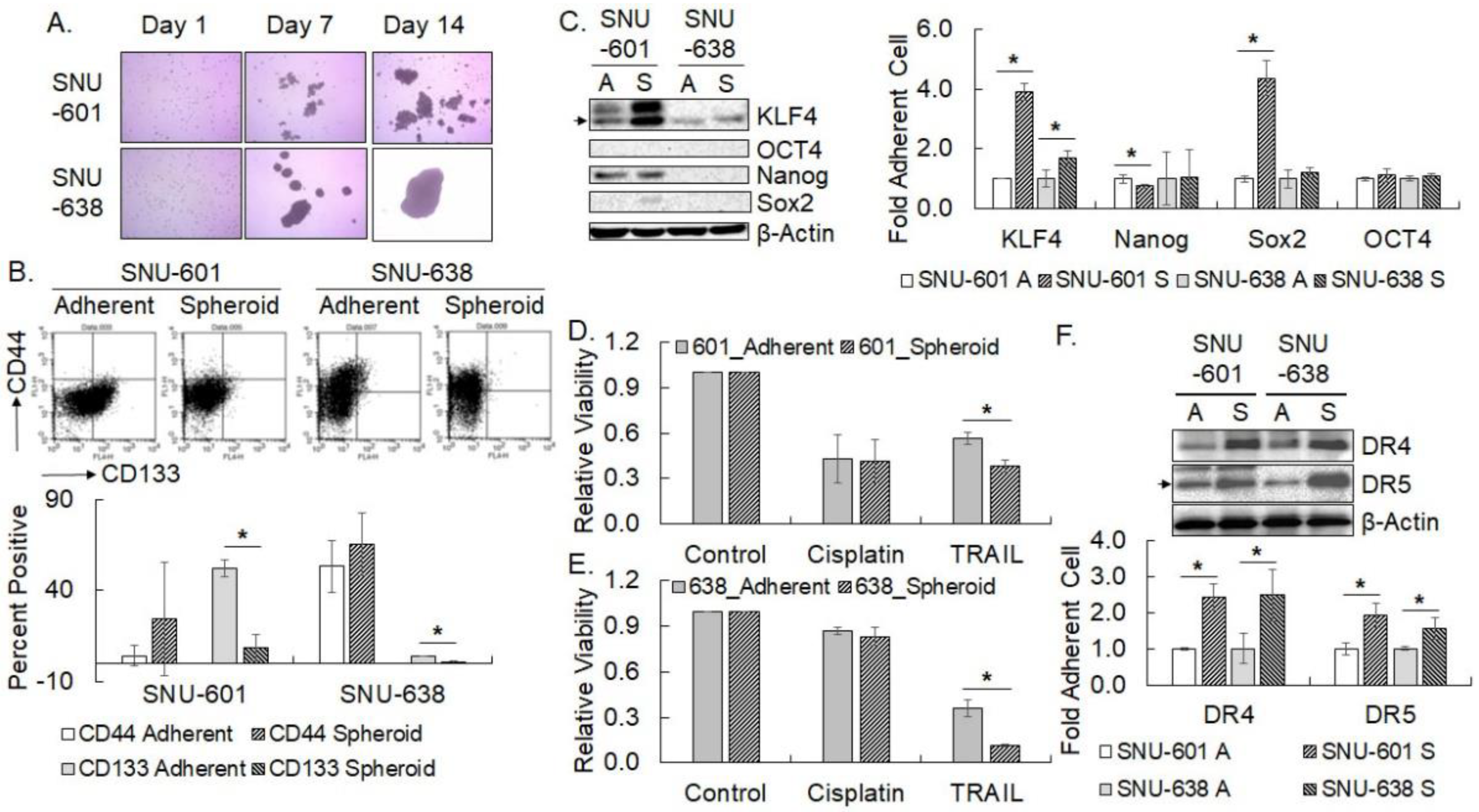 Cimb 45 00018 g002 Cimb 45 00018 g002