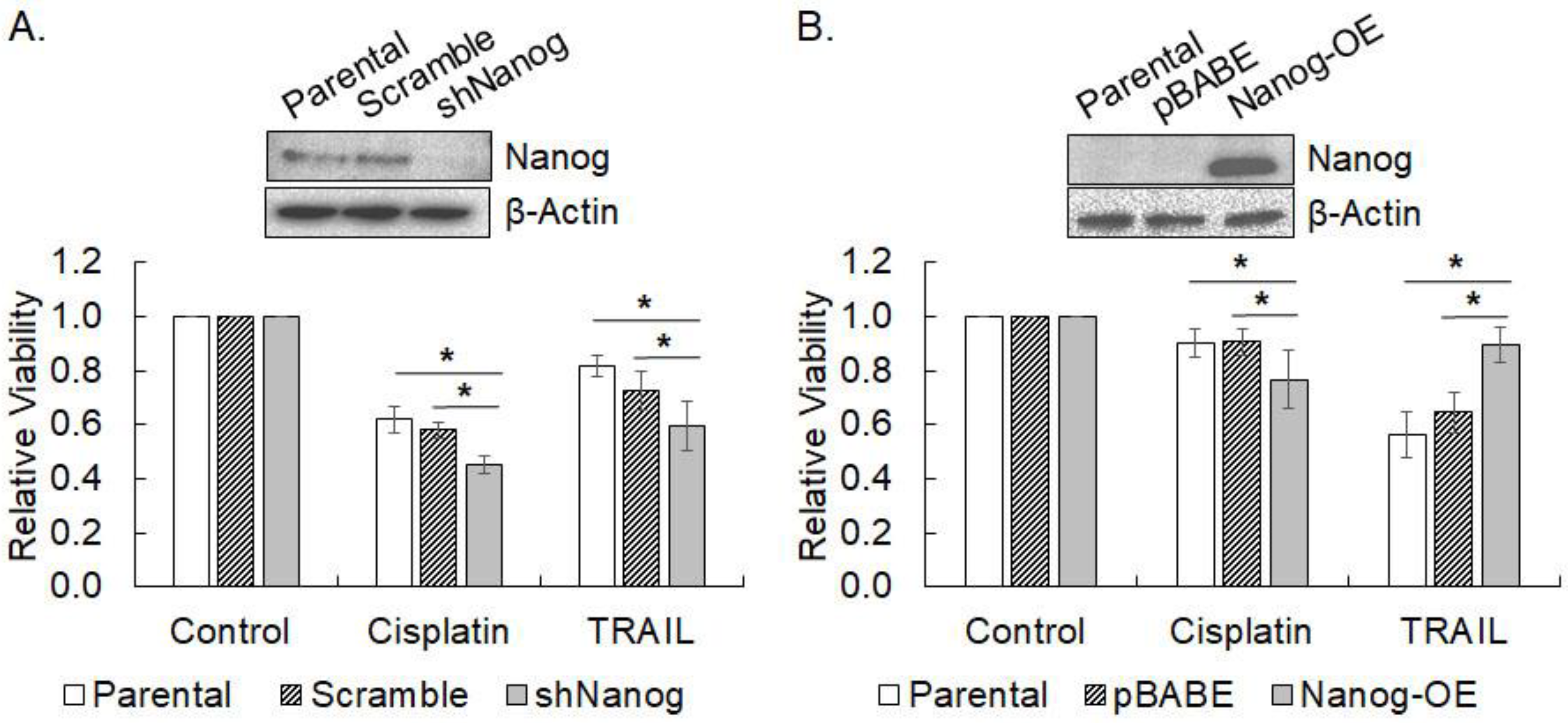 Cimb 45 00018 g005 Cimb 45 00018 g005