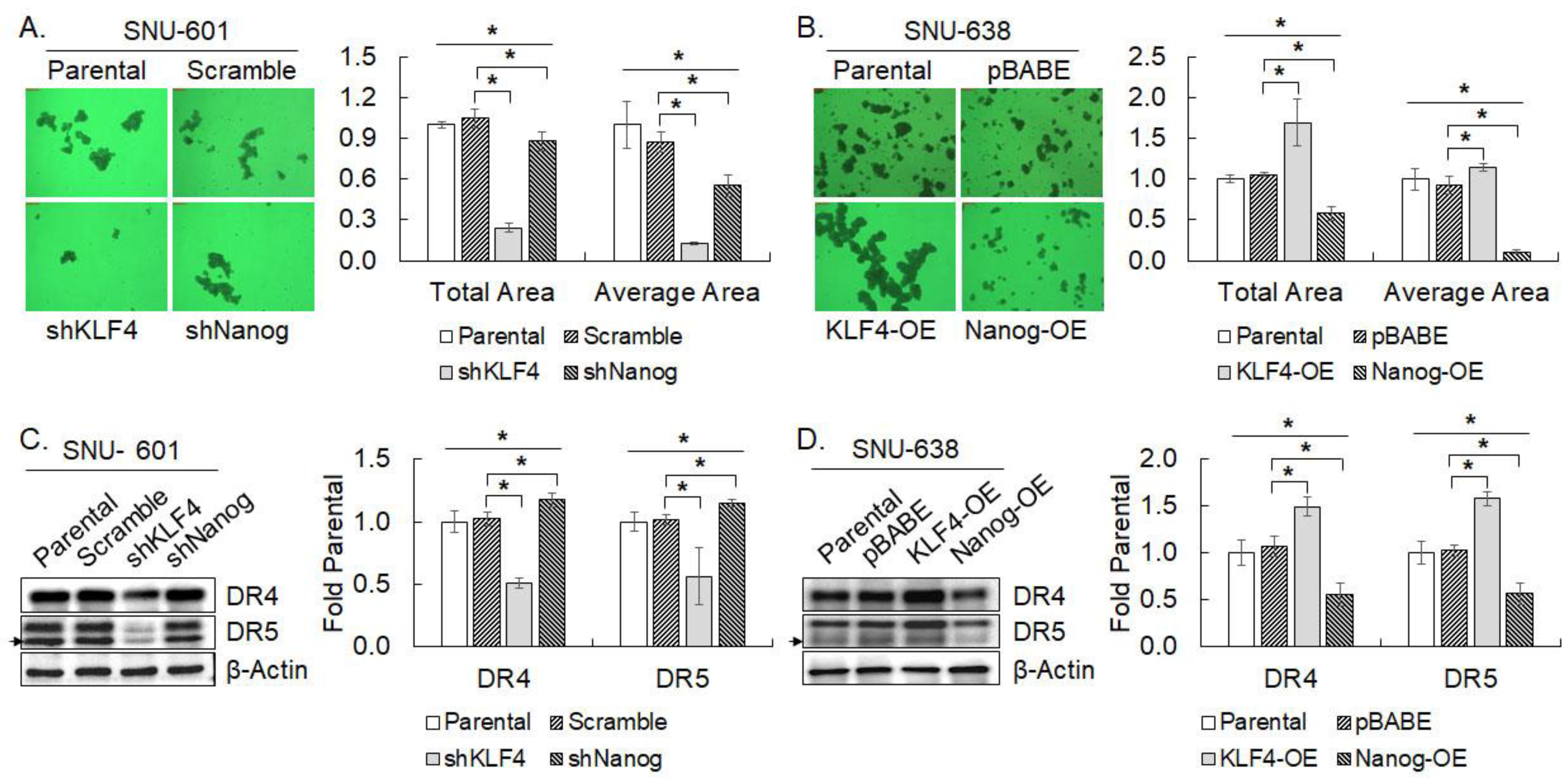 Cimb 45 00018 g006 Cimb 45 00018 g006