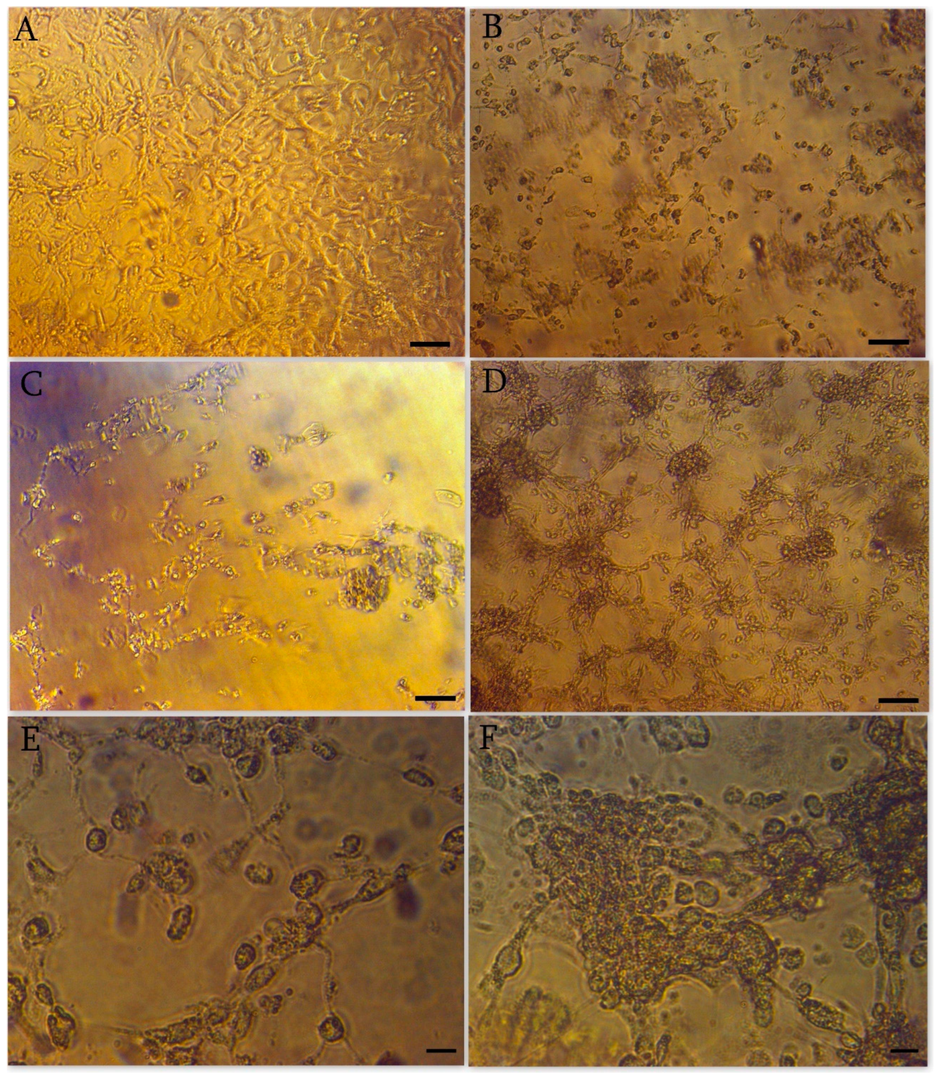 Cimb 45 00019 g001 Cimb 45 00019 g001