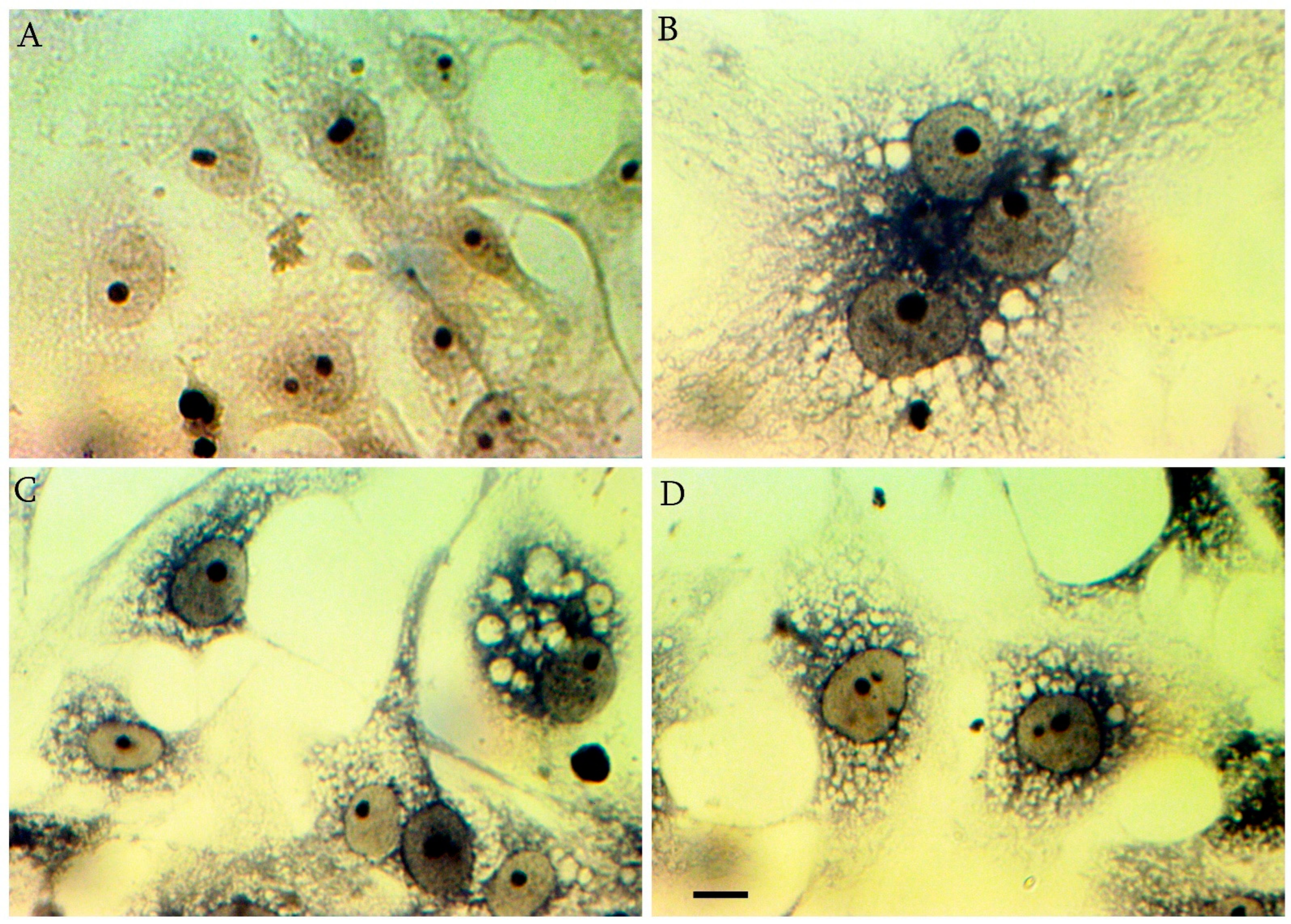 Cimb 45 00019 g003 Cimb 45 00019 g003