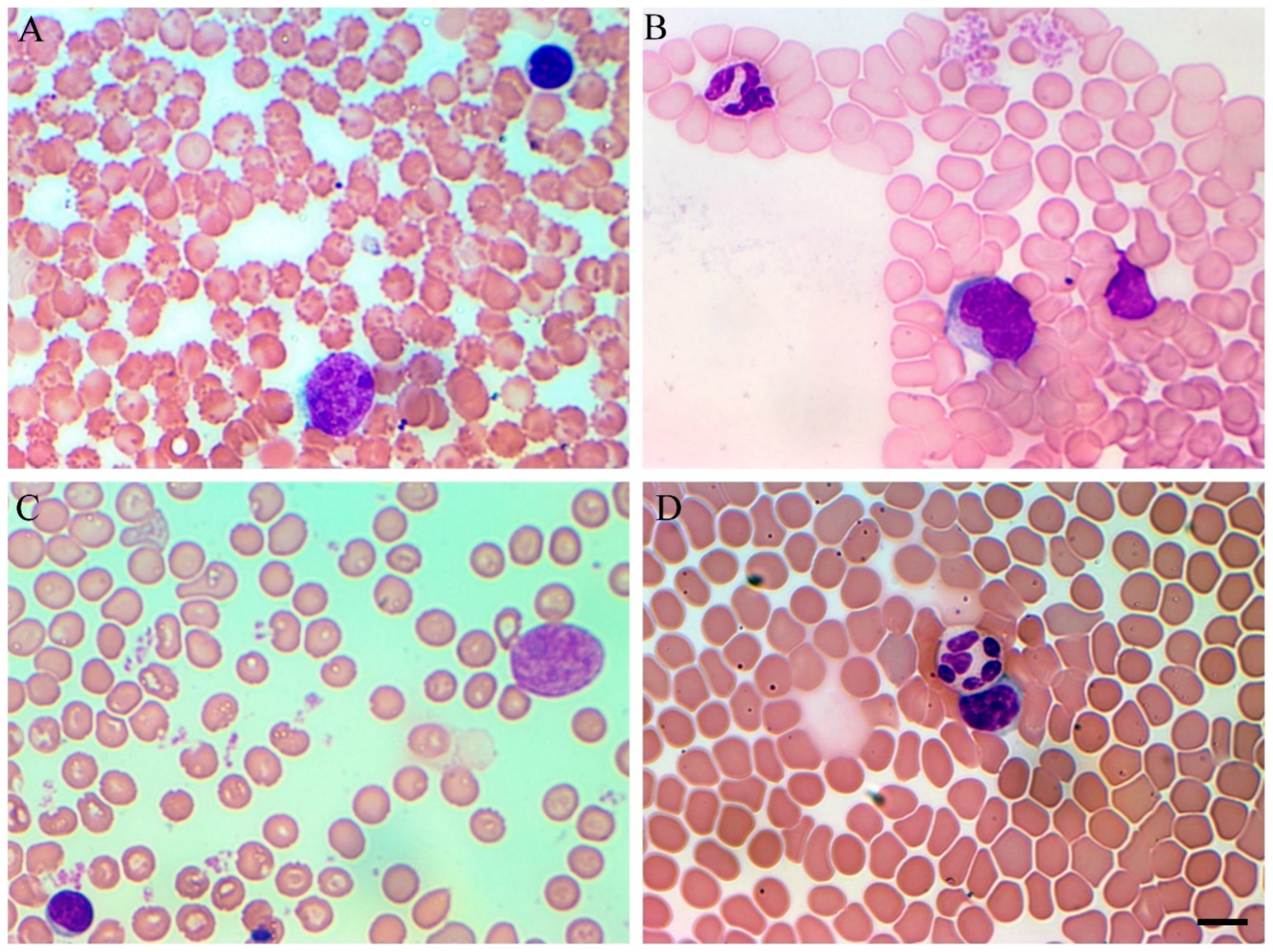 Cimb 45 00019 g005 Cimb 45 00019 g005