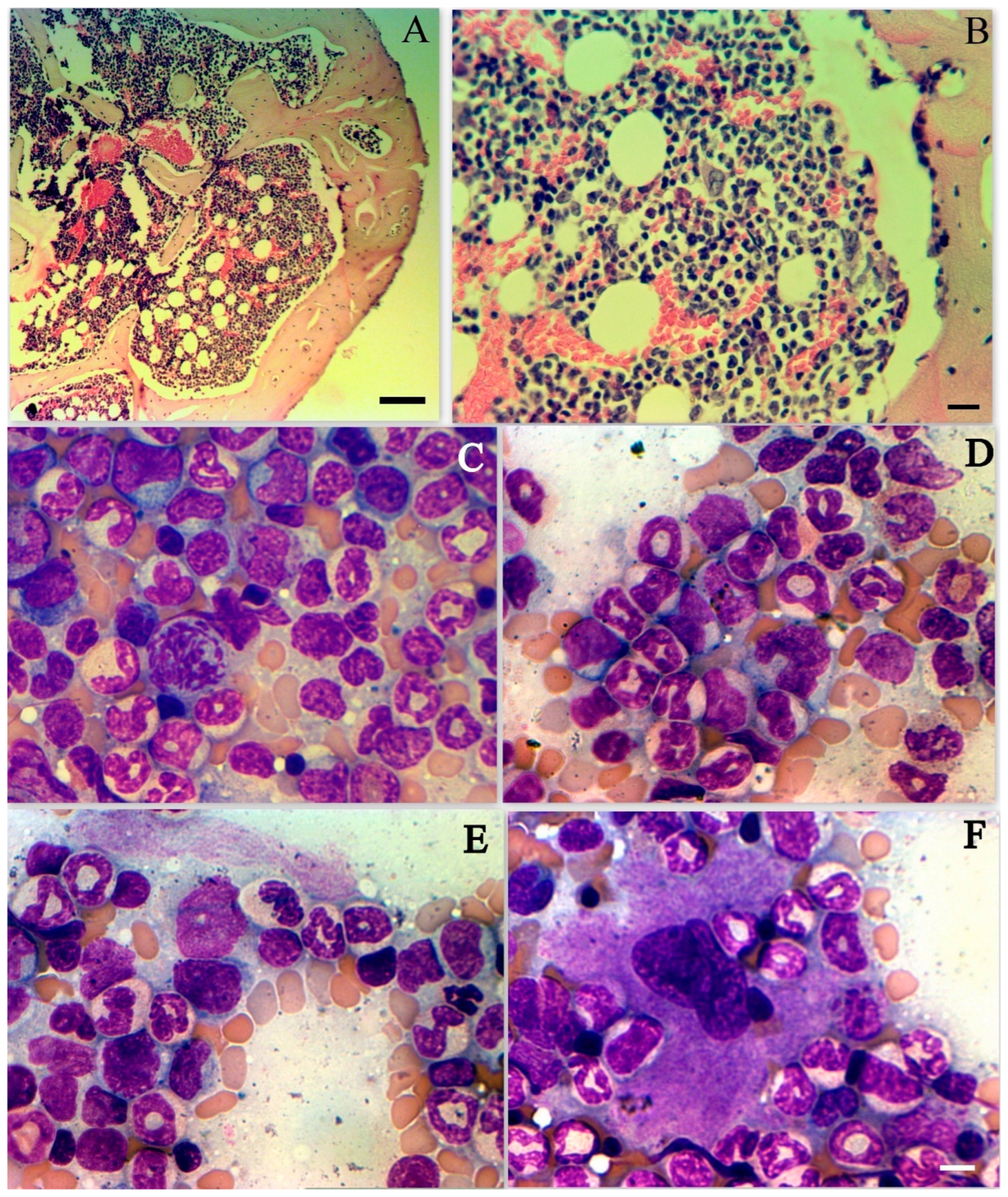 Cimb 45 00019 g006 Cimb 45 00019 g006