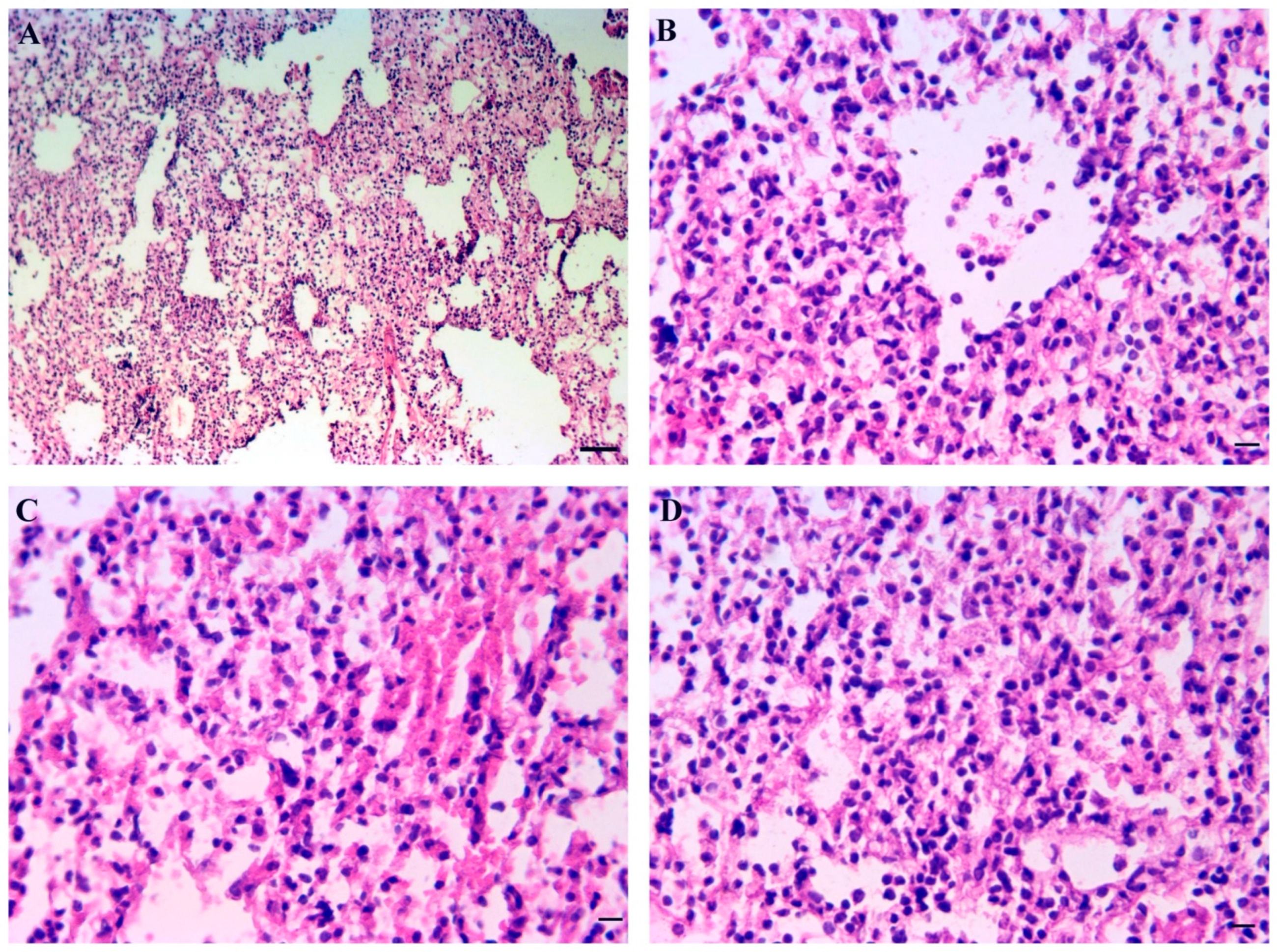 Cimb 45 00019 g009 Cimb 45 00019 g009