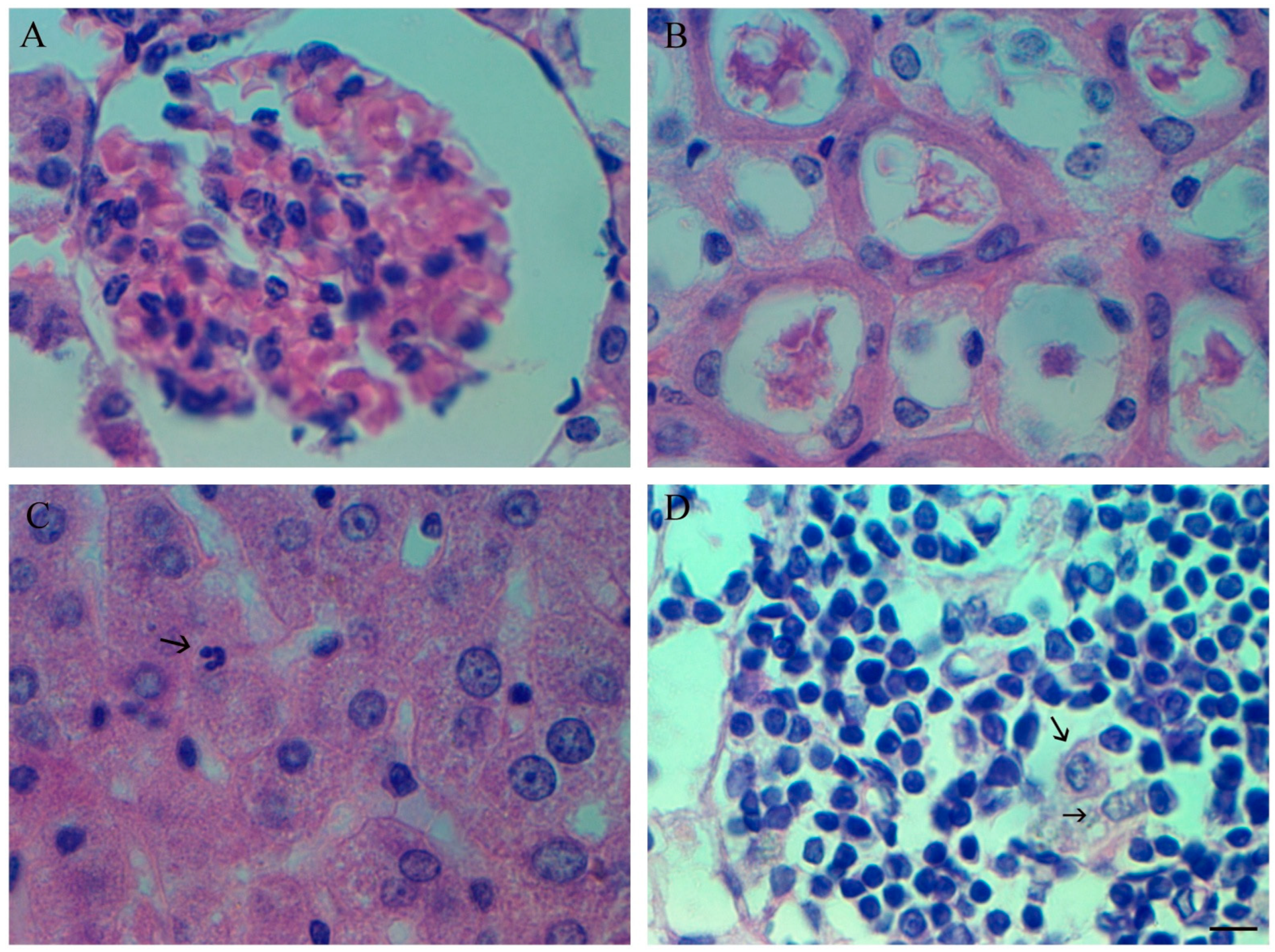 Cimb 45 00019 g010 Cimb 45 00019 g010