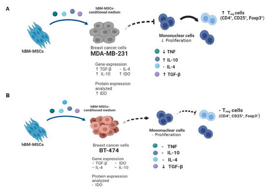 In Vitro Evidence of Differential Immunoregulatory Response between MDA ...