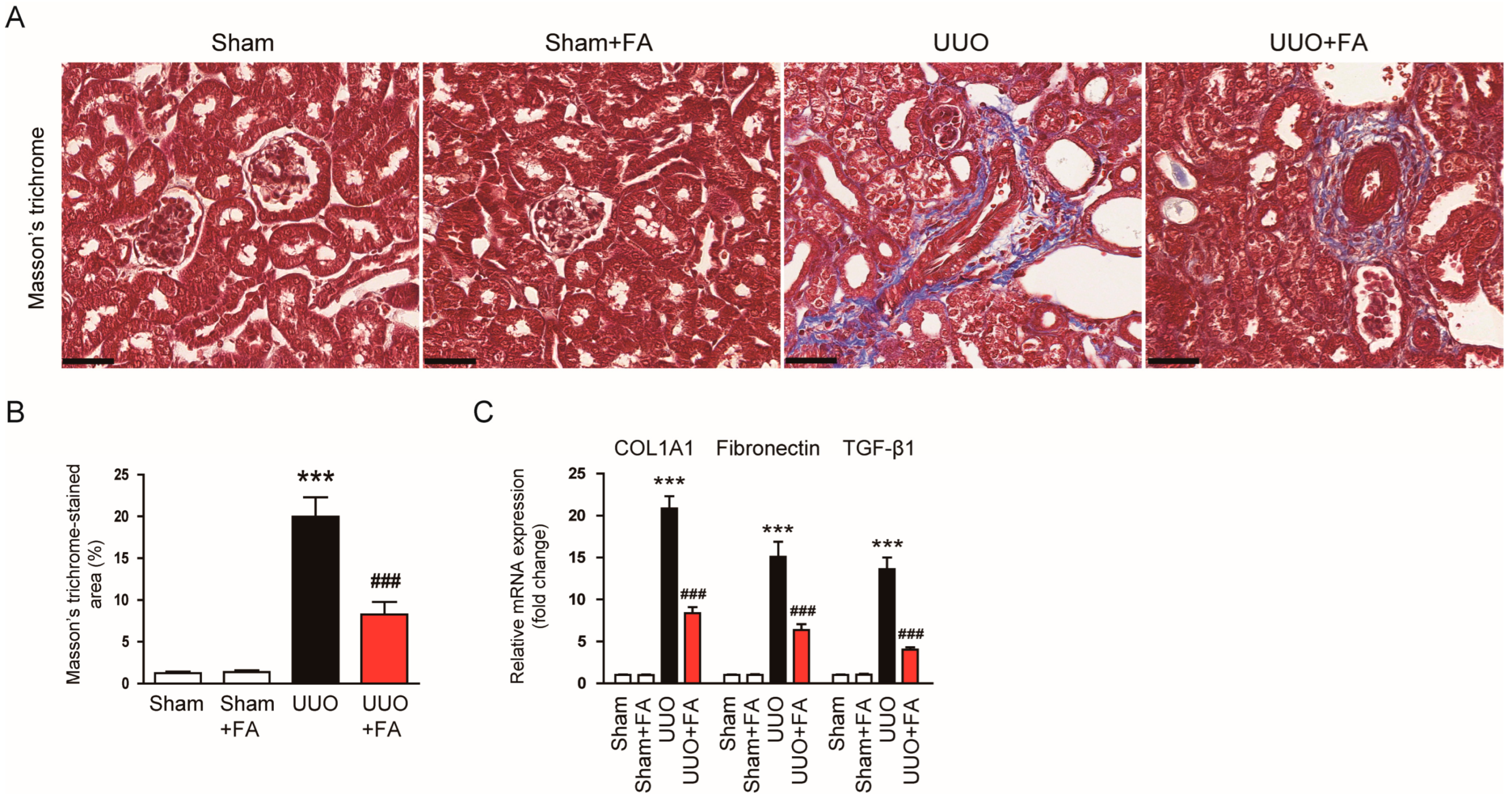 Cimb 45 00024 g004 Cimb 45 00024 g004