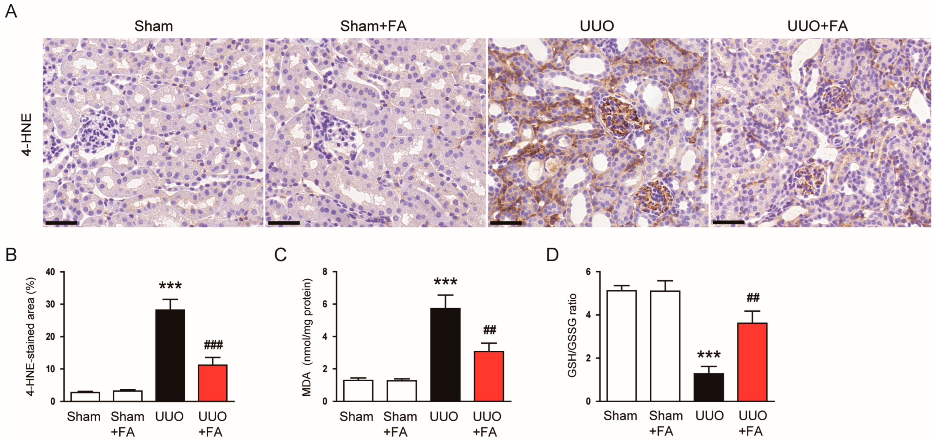 Cimb 45 00024 g006 Cimb 45 00024 g006