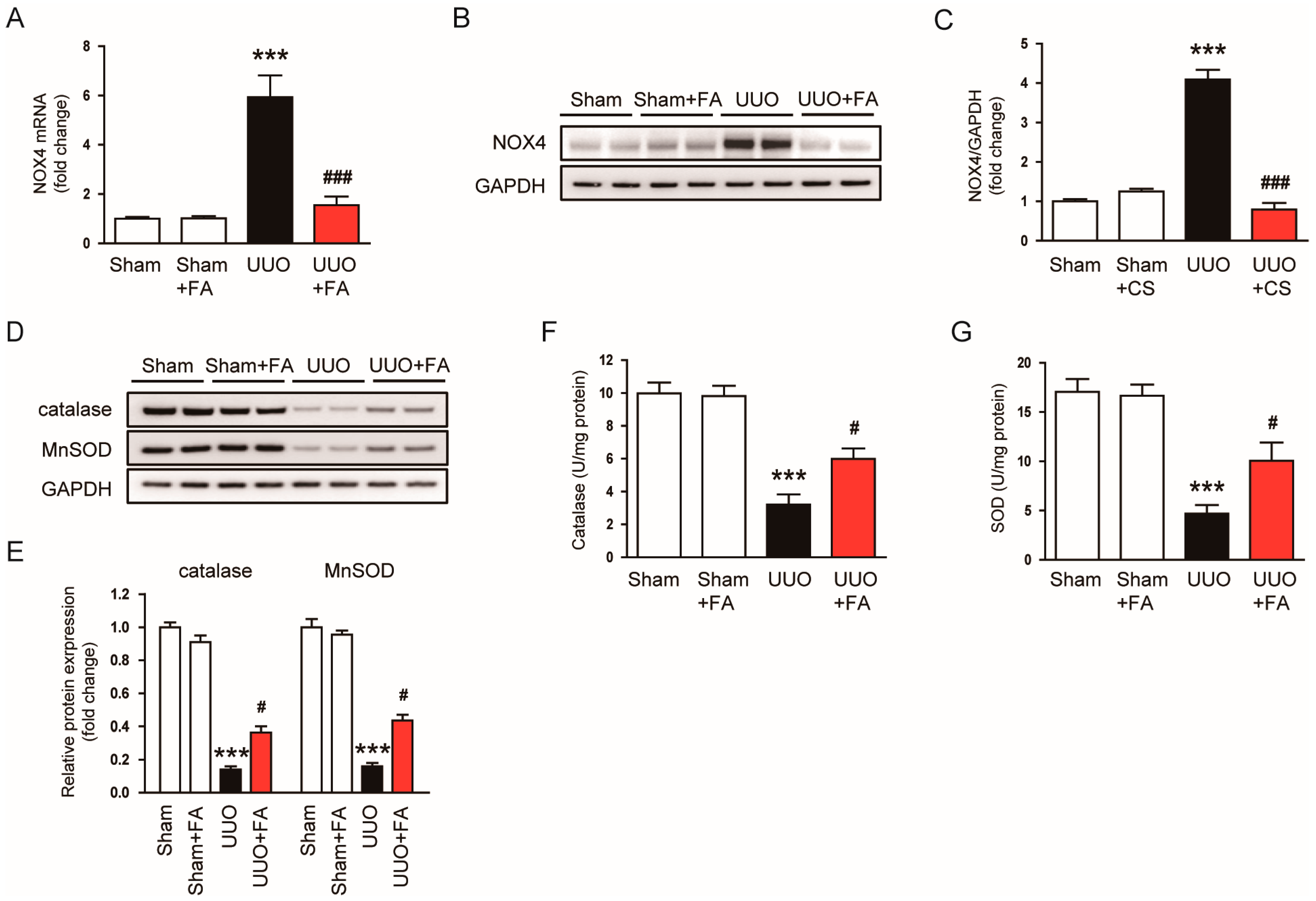 Cimb 45 00024 g007 Cimb 45 00024 g007