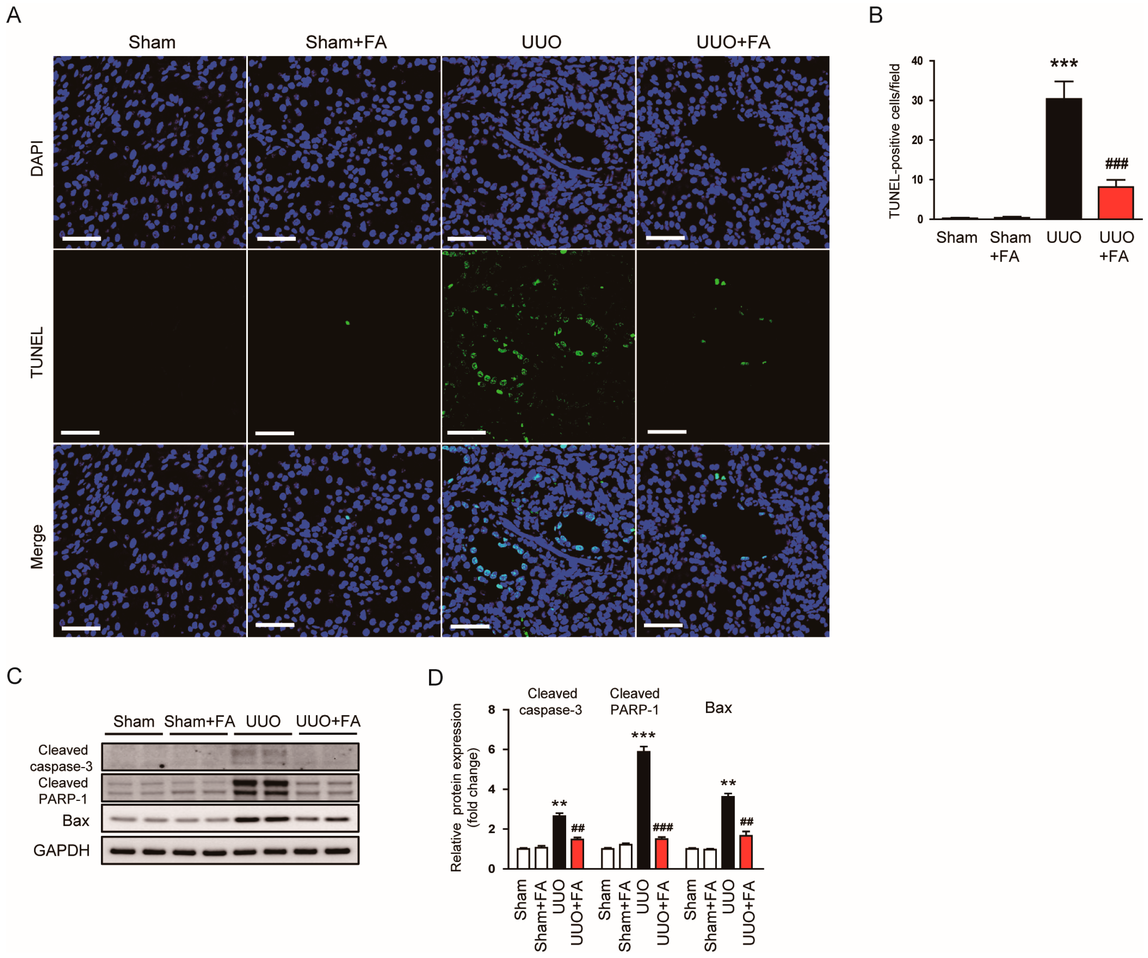 Cimb 45 00024 g008 Cimb 45 00024 g008