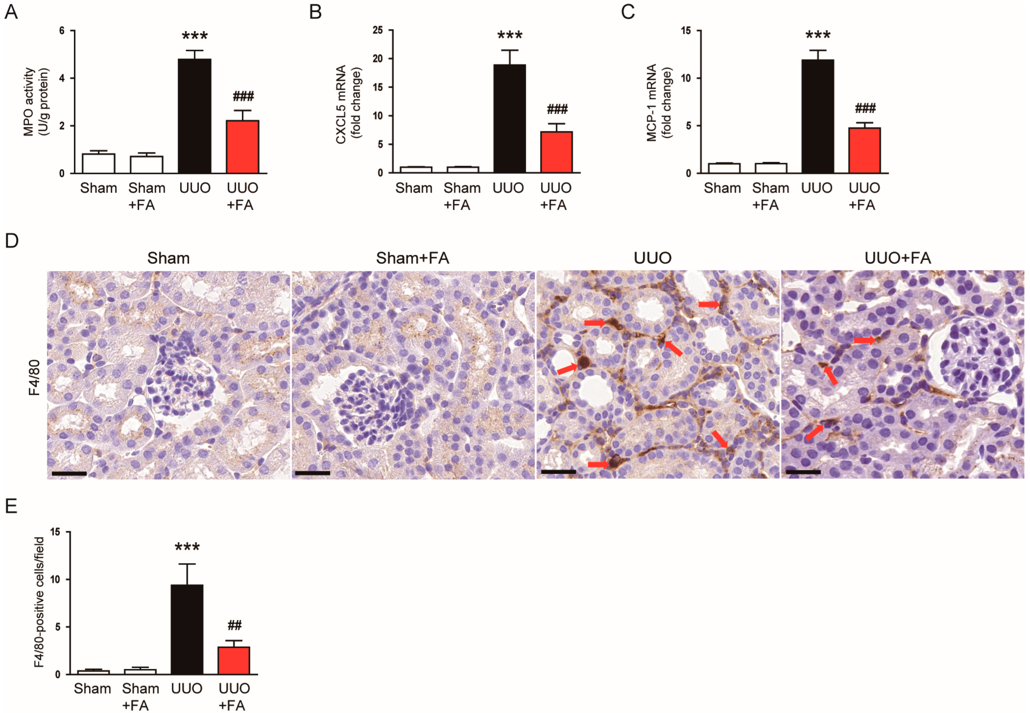 Cimb 45 00024 g010 Cimb 45 00024 g010